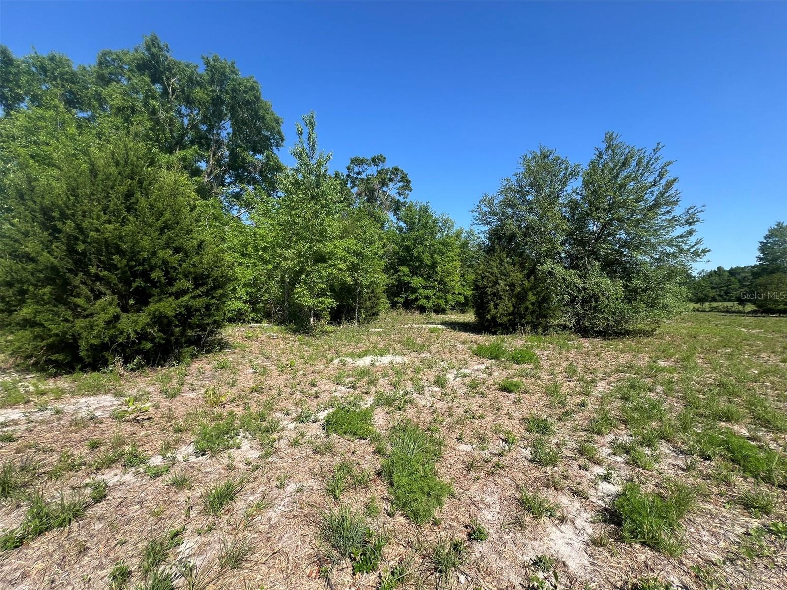 Tbd Sw Pretender Gln Property Photo 8