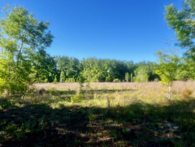 Nw 98th Ln Property Photo