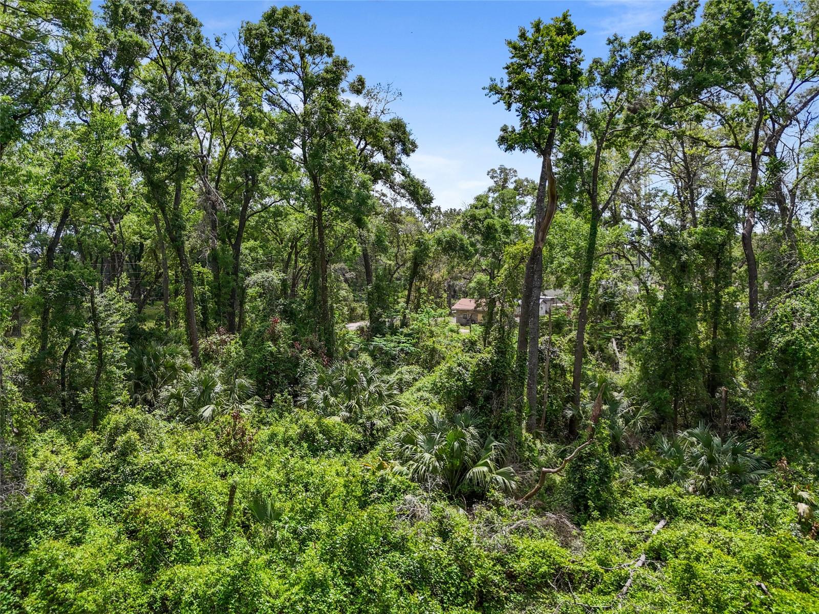 Lot 48 90th Ave Property Photo 7