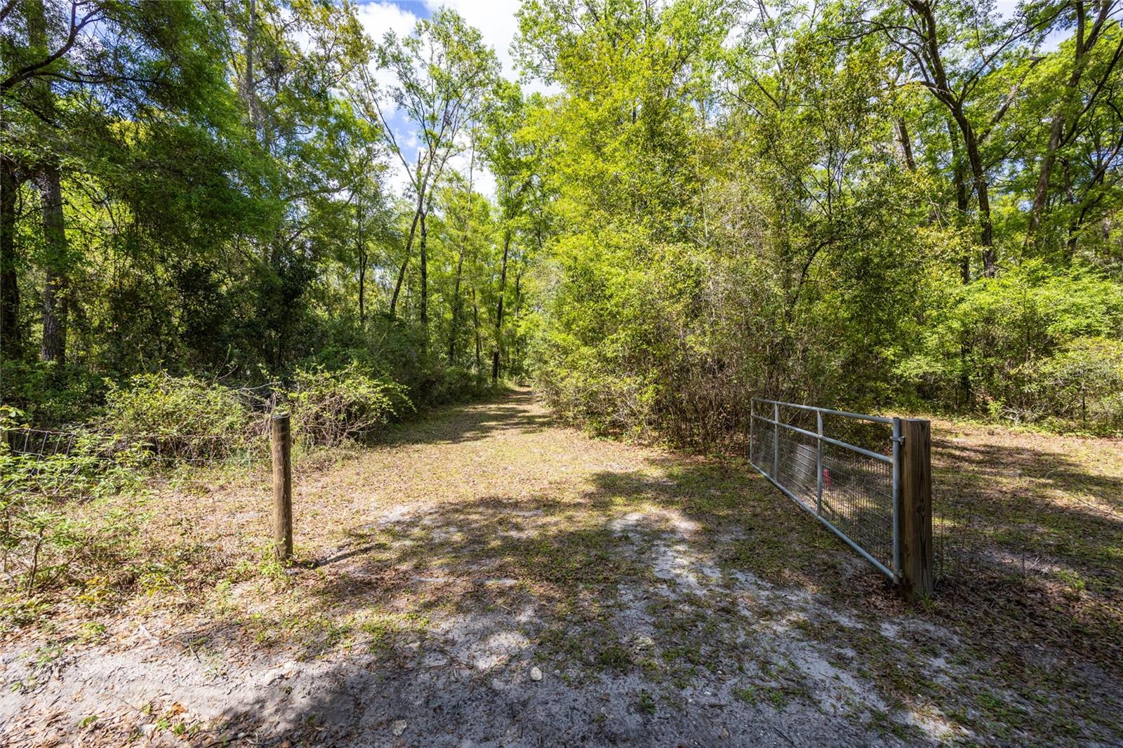 10530 61st Property Photo