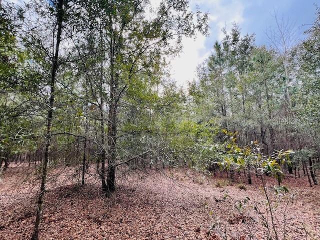 Nw 85th St Property Photo