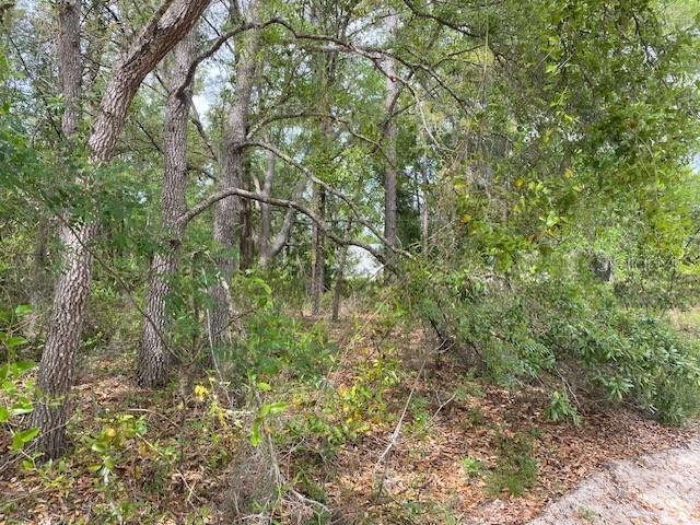 Ne 67th St Property Photo