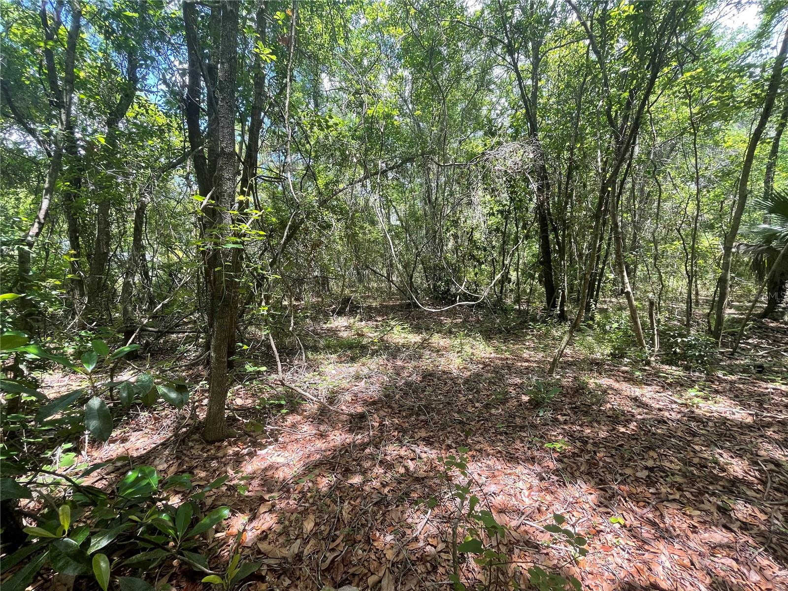 000 Se Hawthorne Rd Property Photo 10