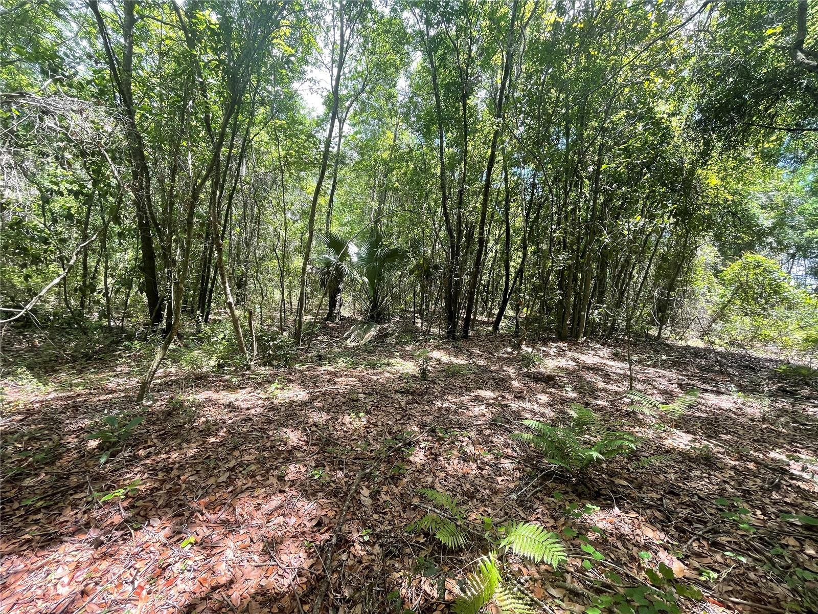 000 Se Hawthorne Rd Property Photo 11