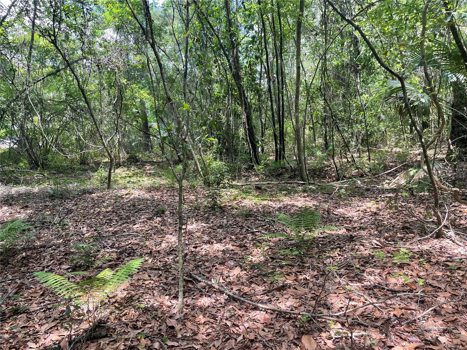 000 Se Hawthorne Rd Property Photo 18