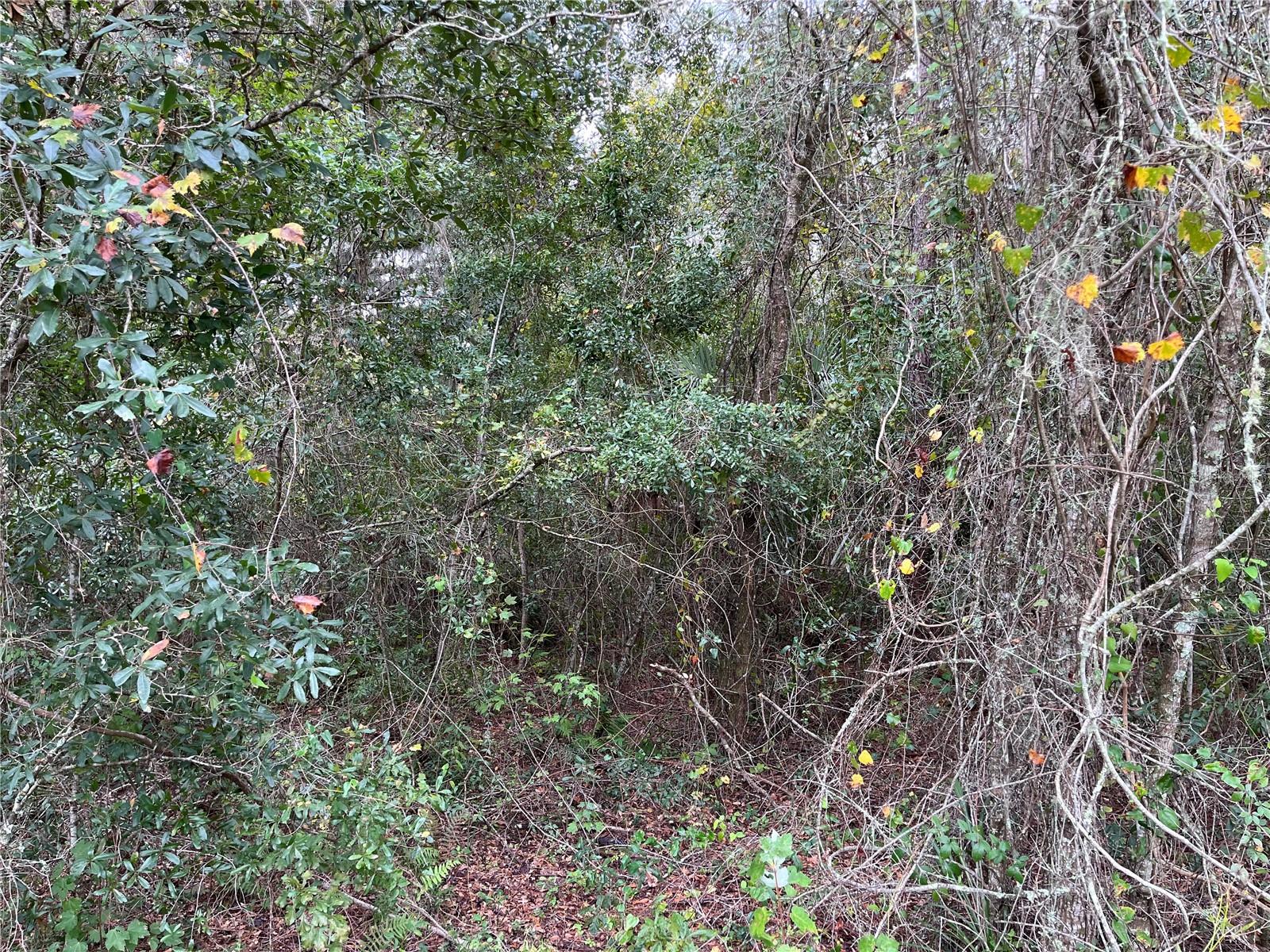 000 Se Hawthorne Rd Property Photo 23