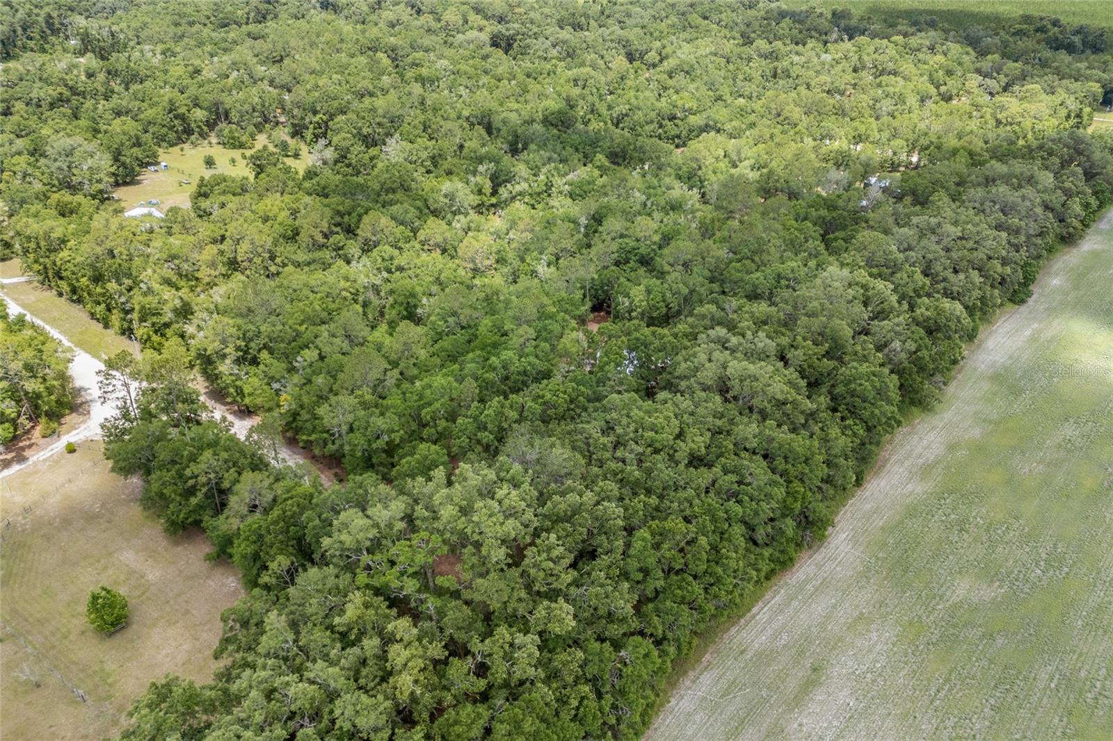 165 Sw Military Gln Property Photo 30