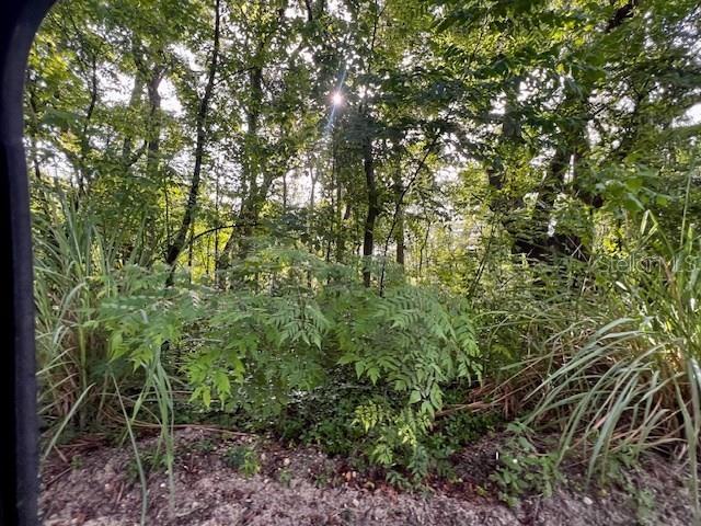 1609 N Main St Property Photo 8