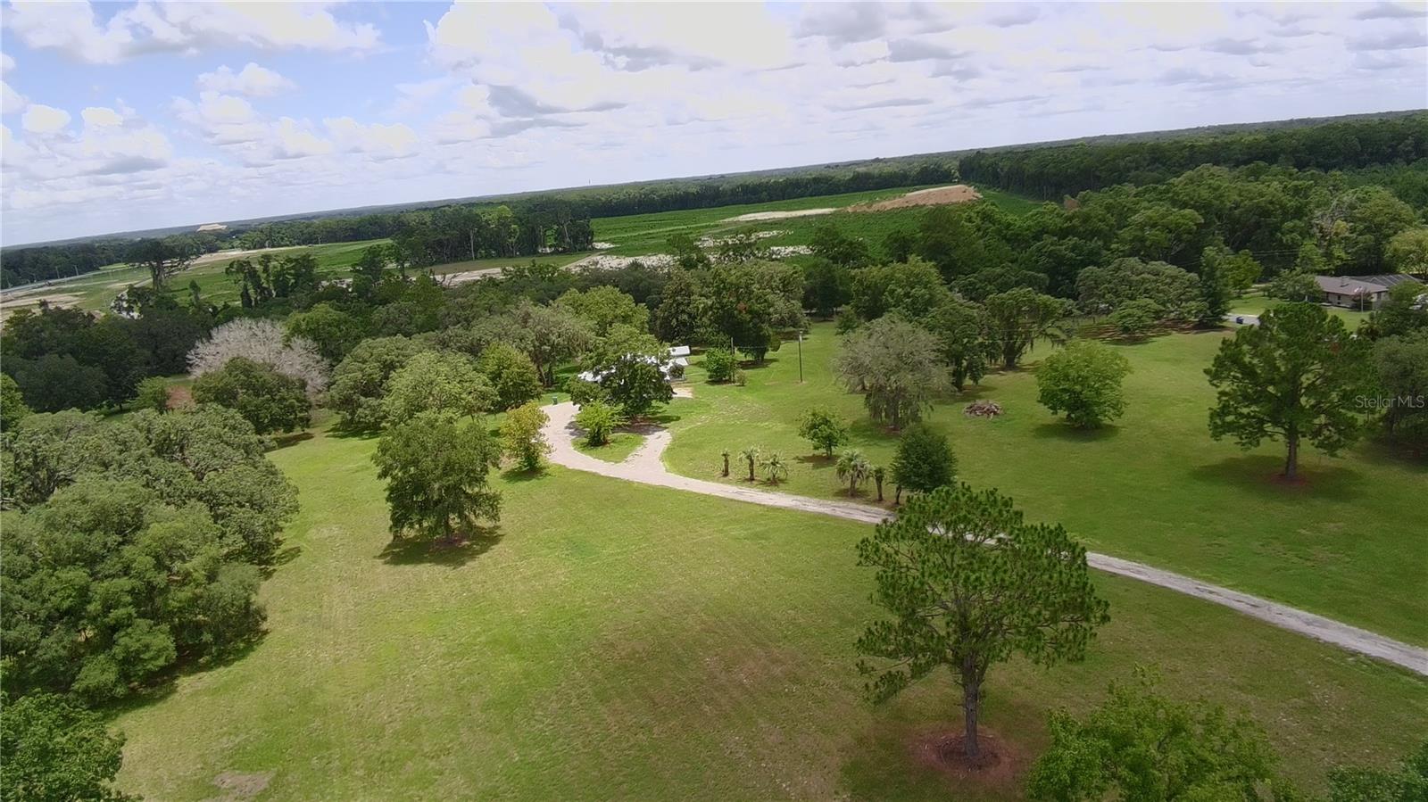 24206 Doc Karelas Dr Property Photo 6