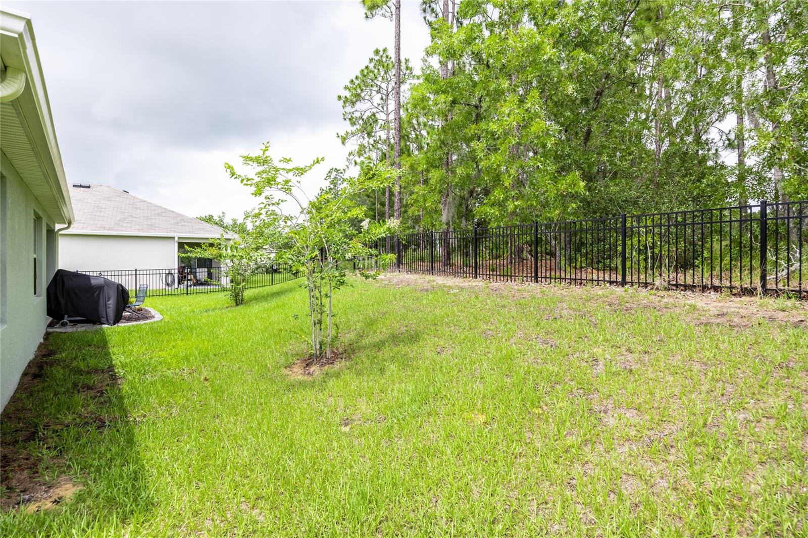 216 Hickory Course Property Photo 51