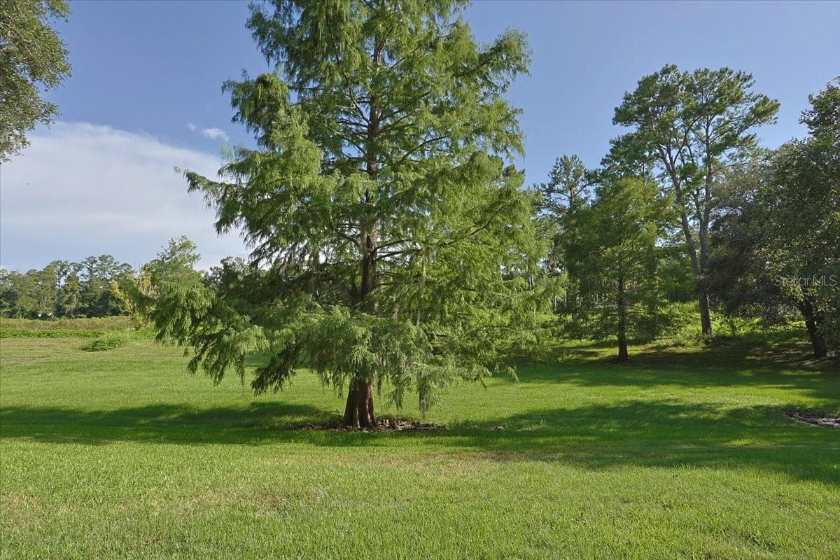 2710 Nw 105th Dr Property Photo 2