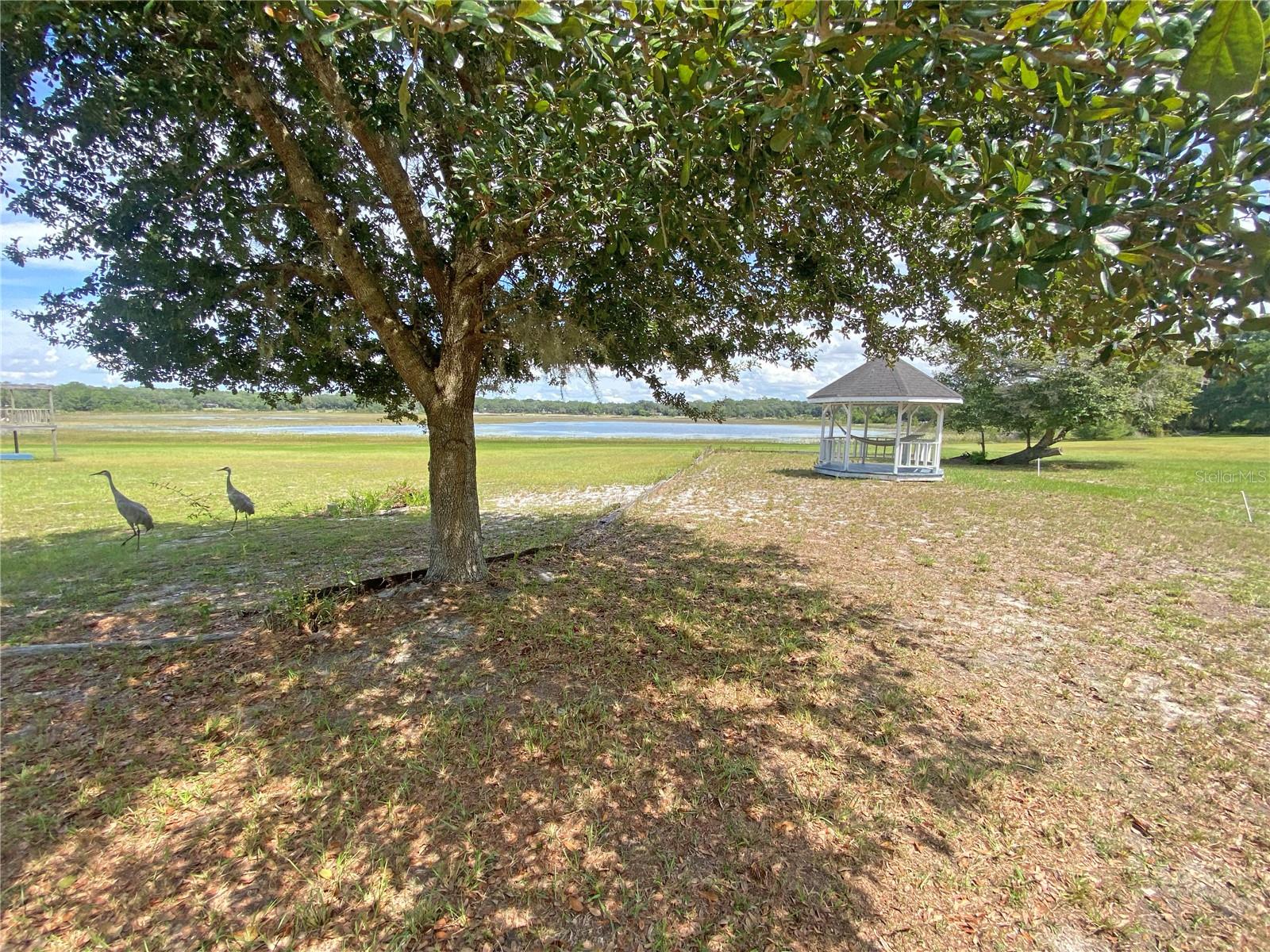 148 Swan Lake Dr Property Photo 26