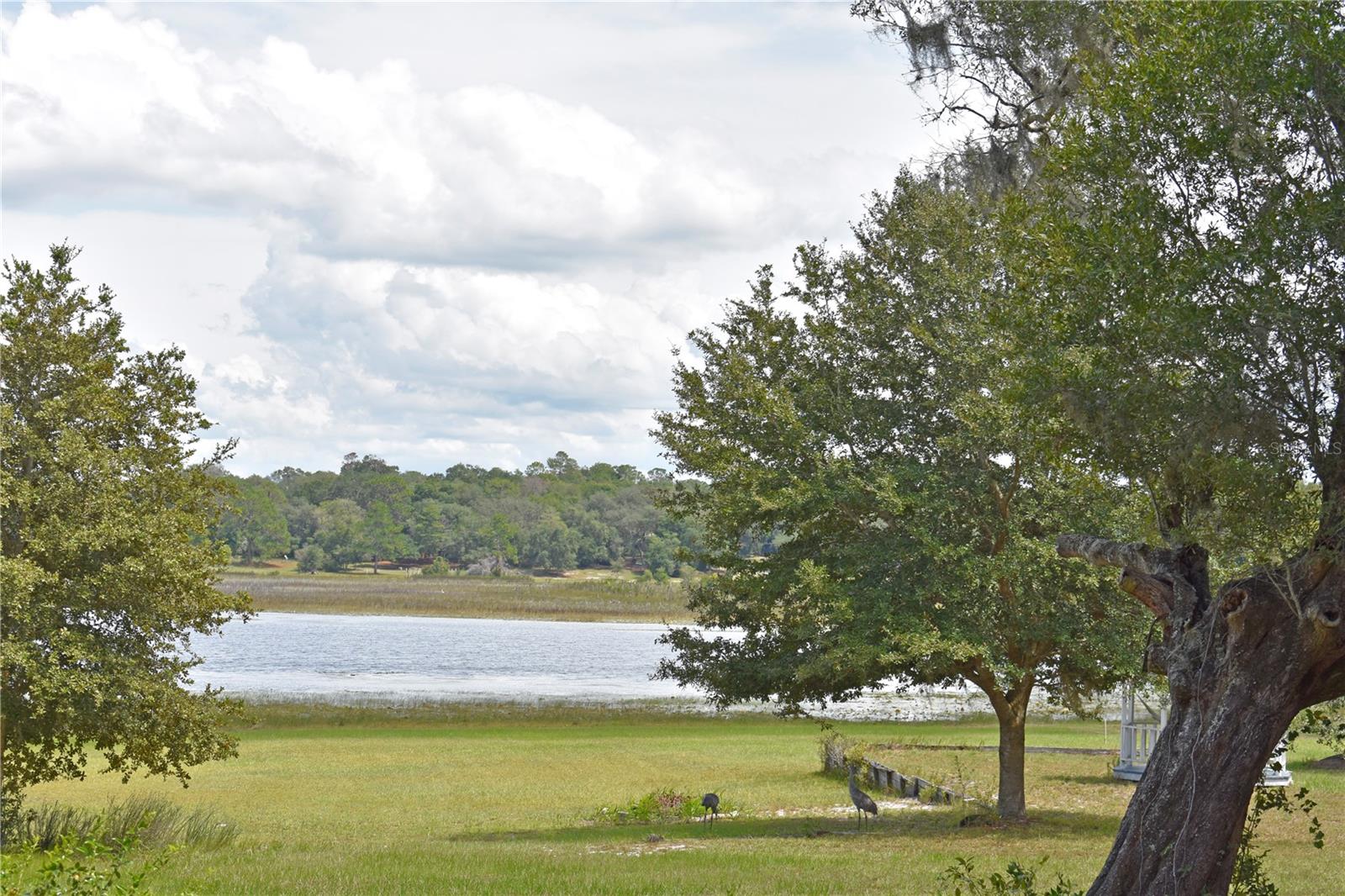 148 Swan Lake Dr Property Photo 30
