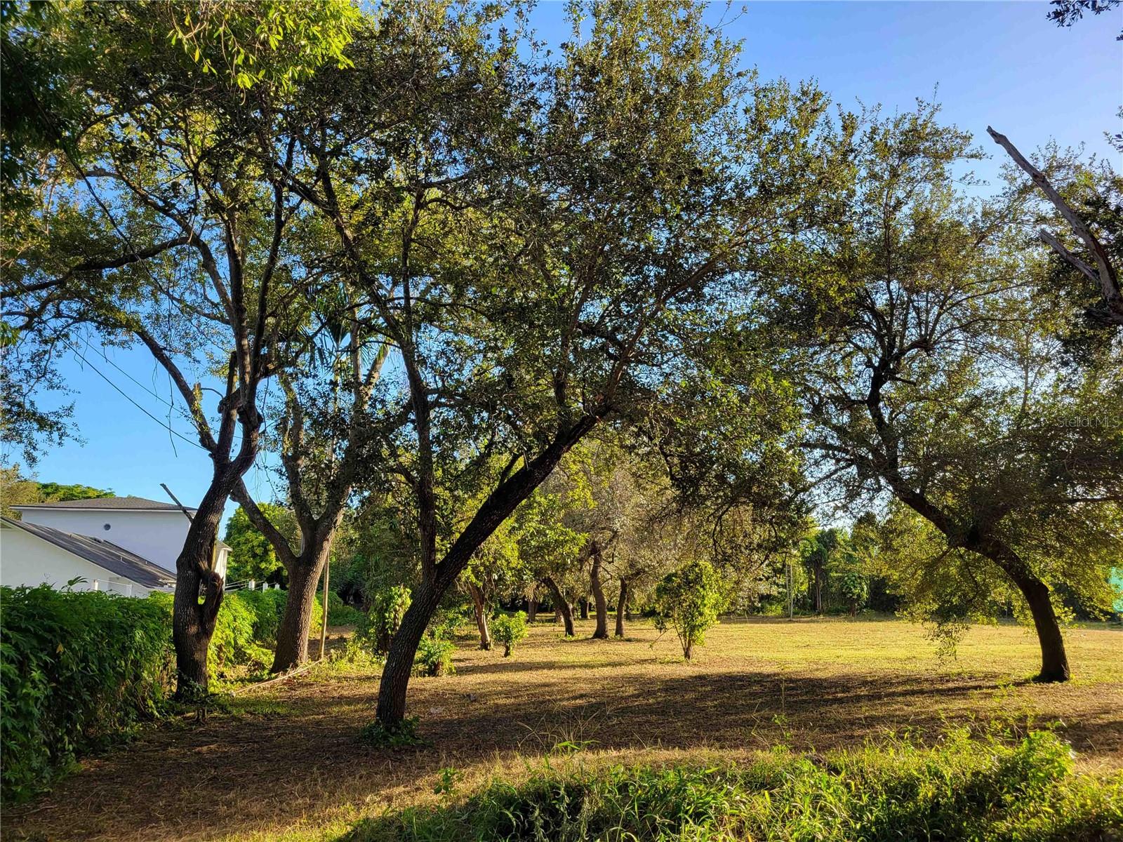 Tbd Sw 93rd St Property Photo 8
