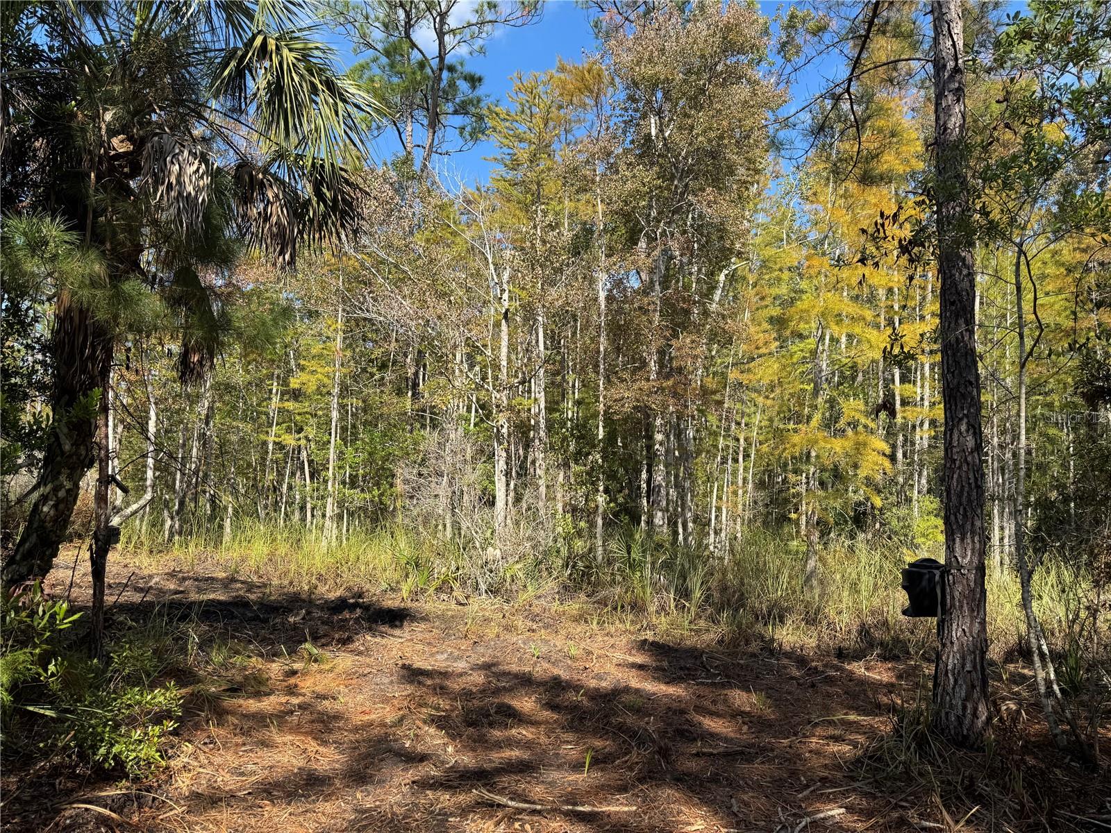 Tbd Quail Rd Property Photo 4