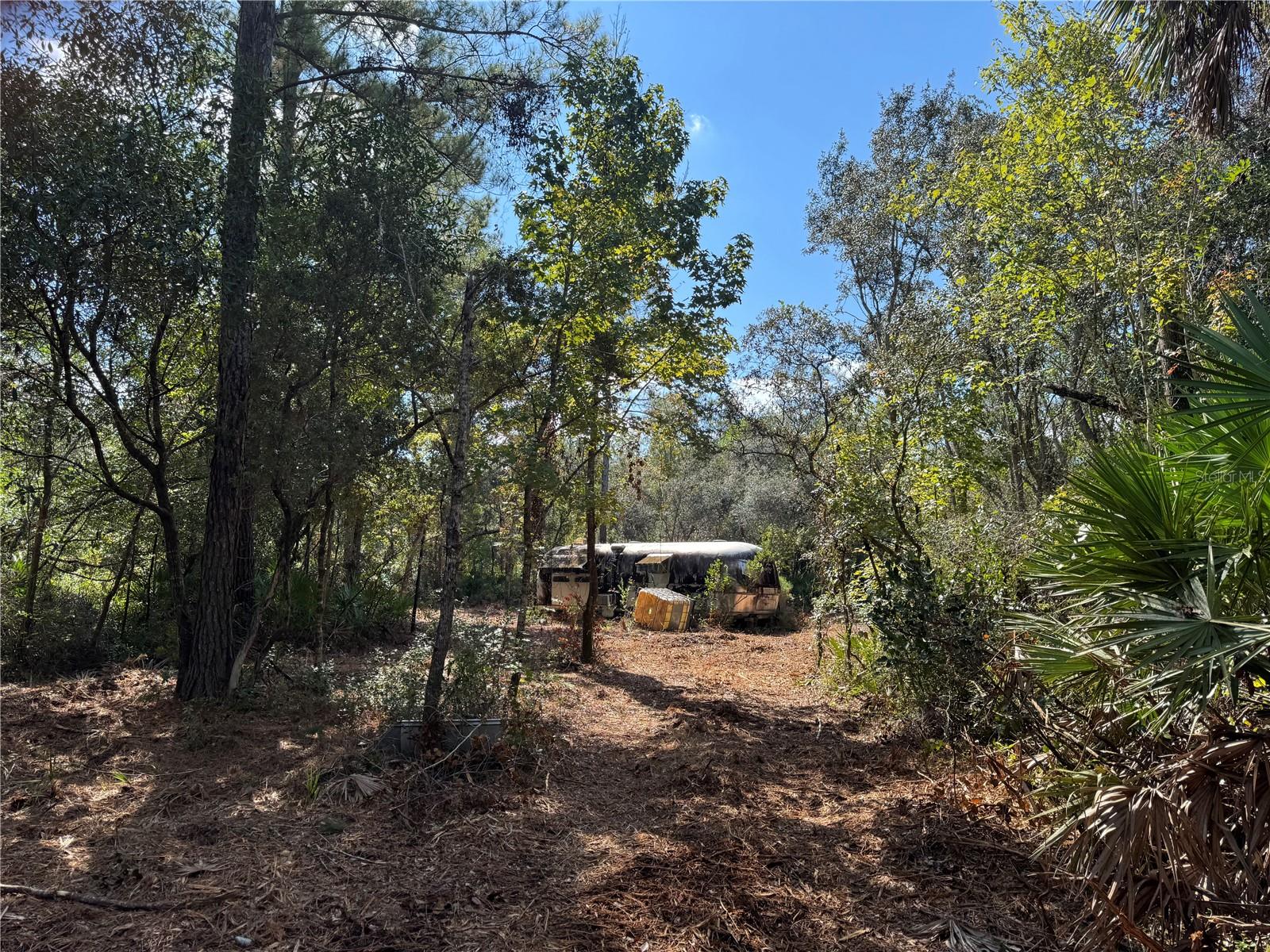 Tbd Quail Rd Property Photo 6