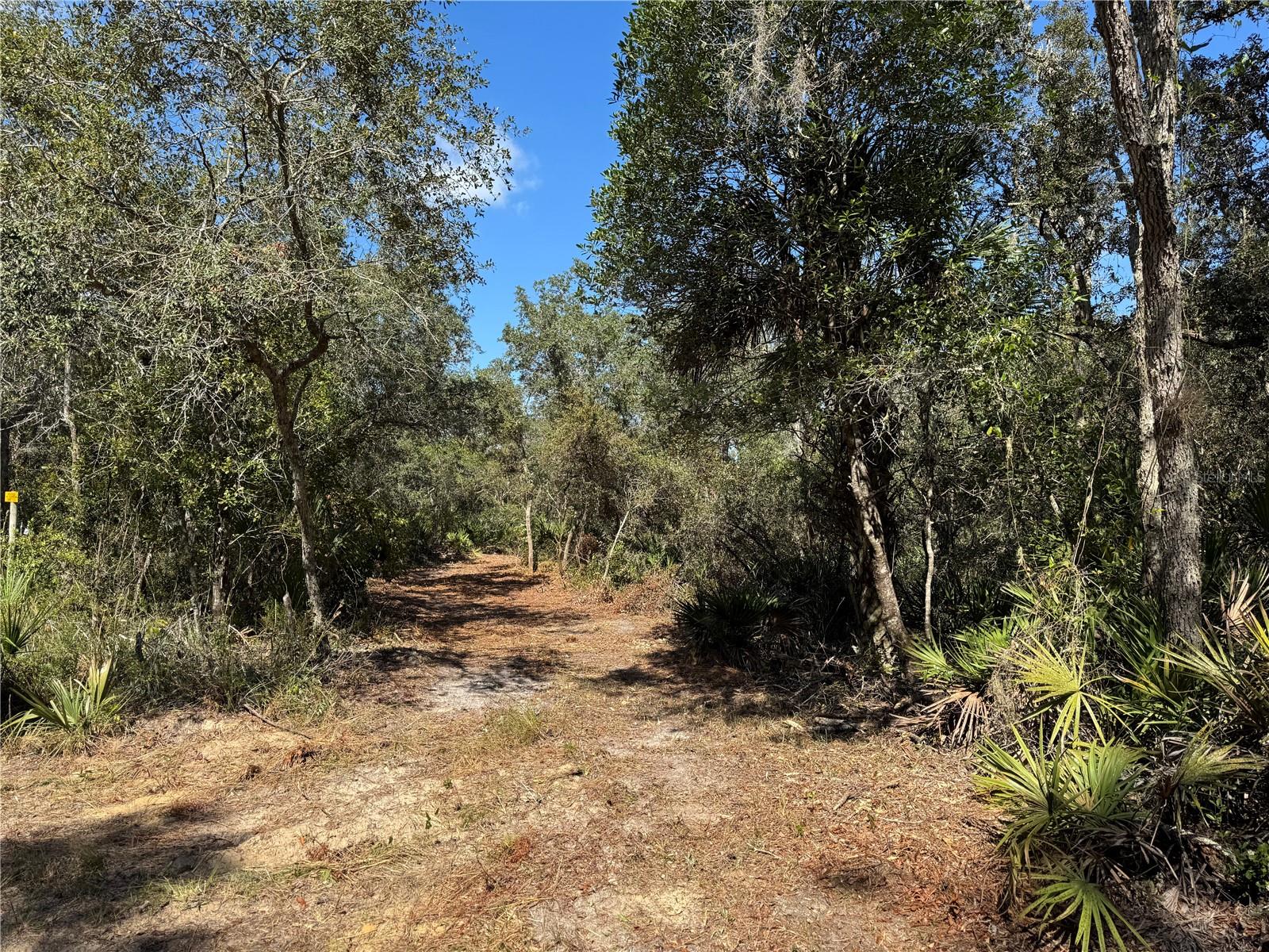 Tbd Quail Rd Property Photo 10