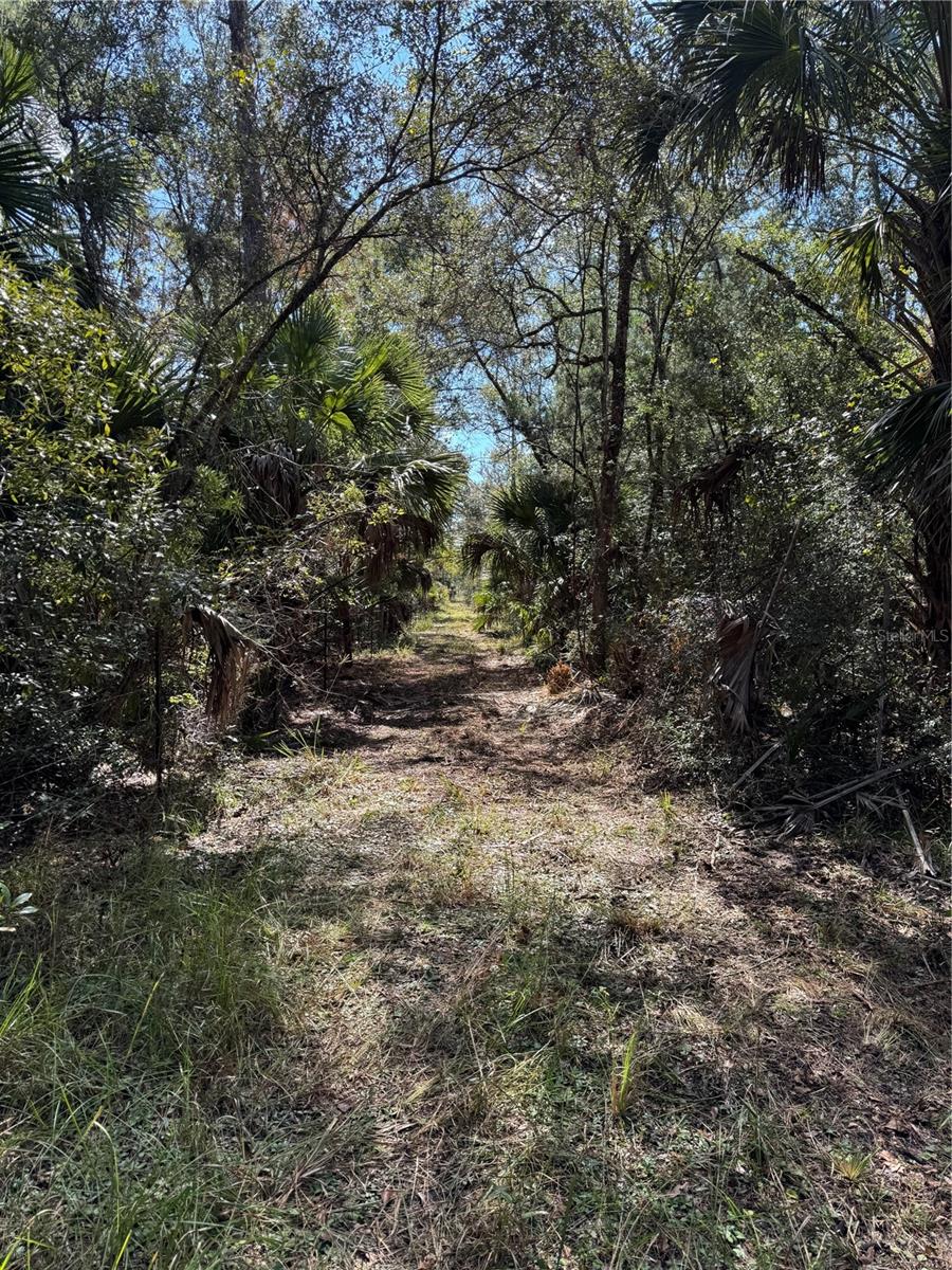 Tbd Quail Rd Property Photo 15