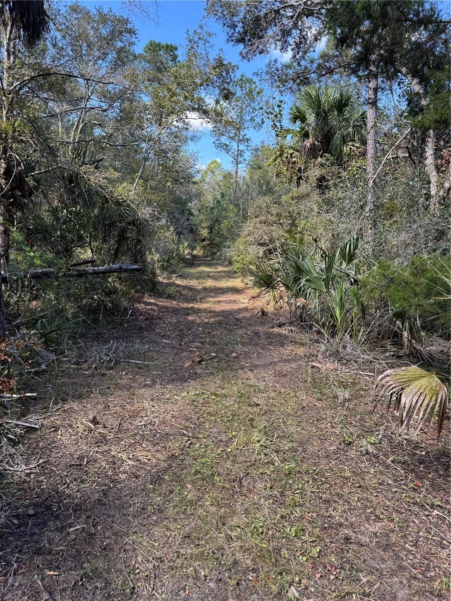 Tbd Quail Rd Property Photo 16