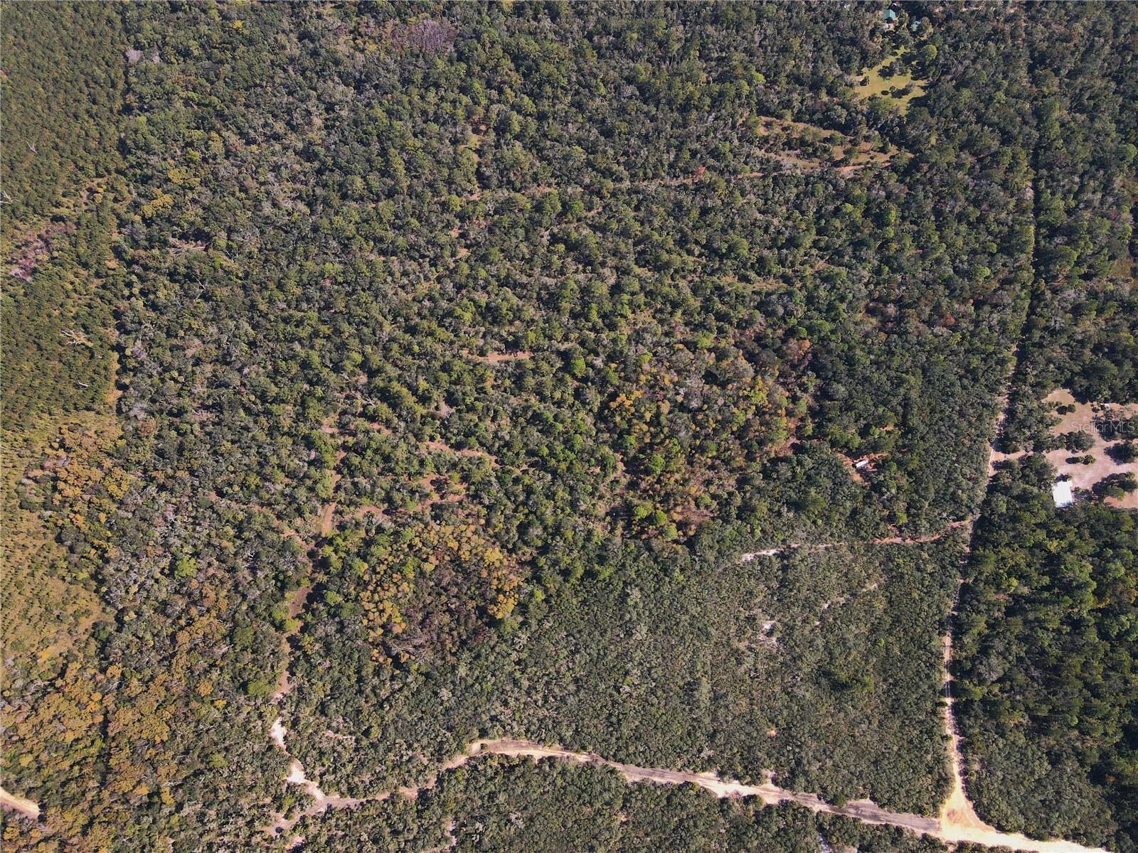 Tbd Quail Rd Property Photo 17