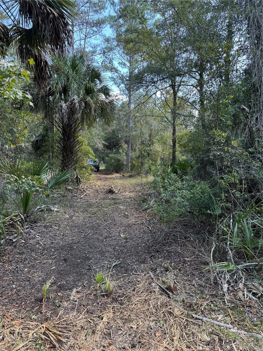 Tbd Quail Rd Property Photo 18