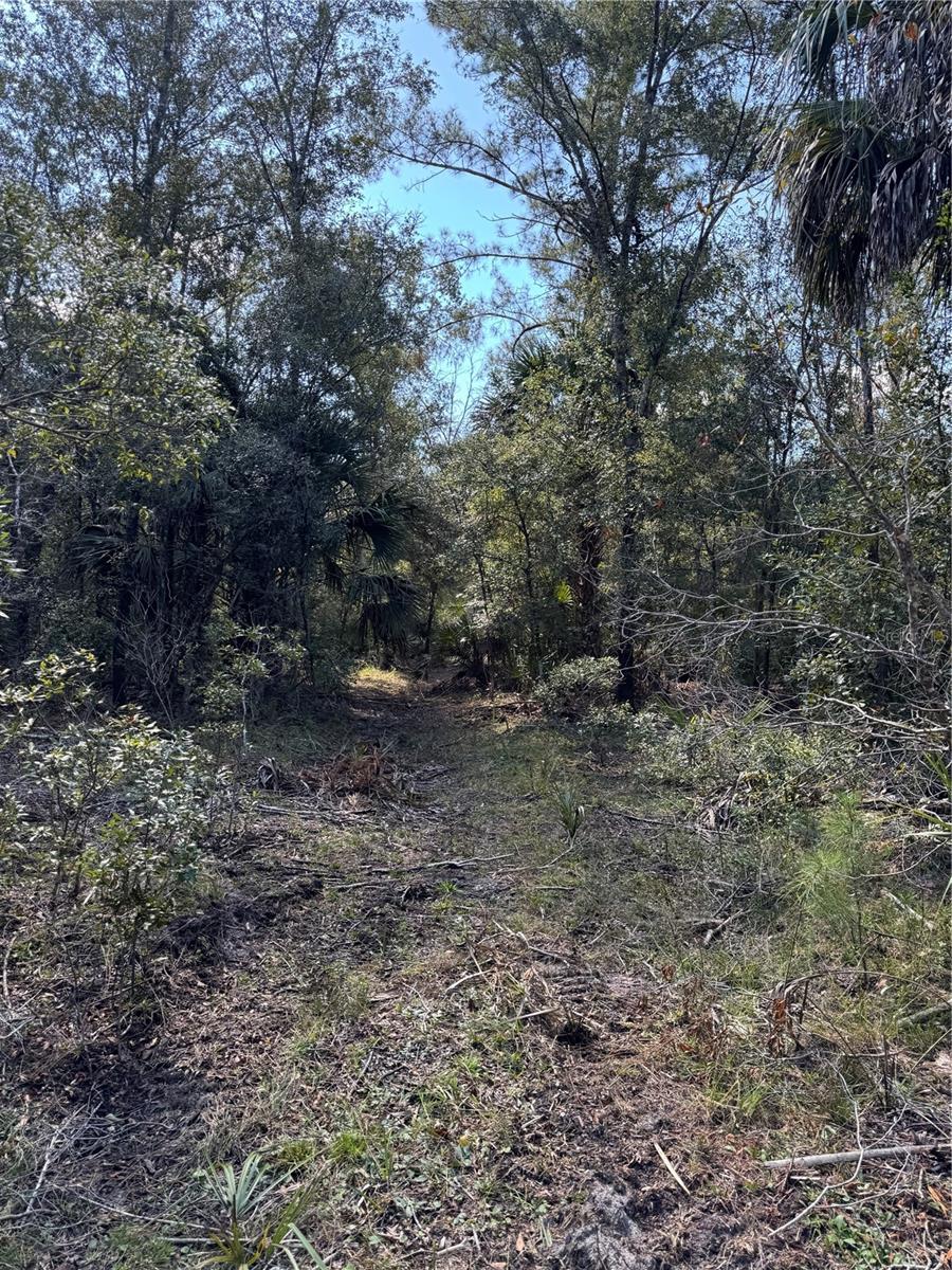 Tbd Quail Rd Property Photo 20