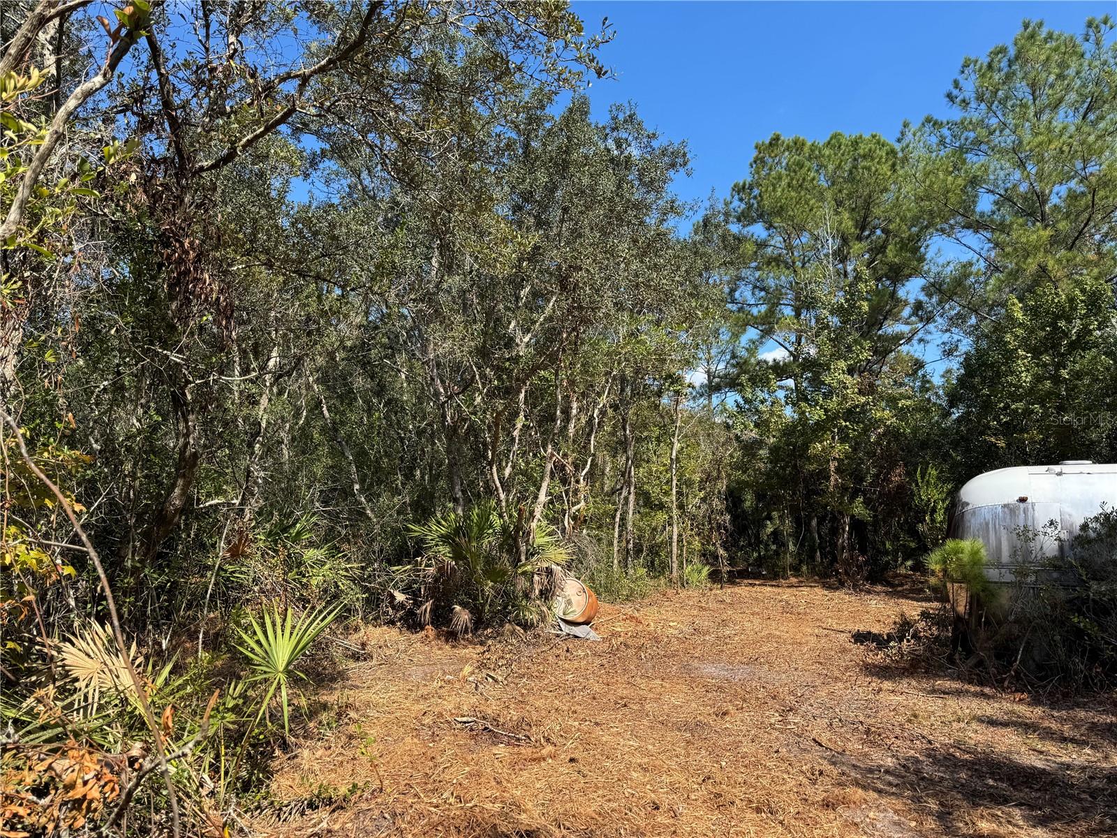 Tbd Quail Rd Property Photo 22