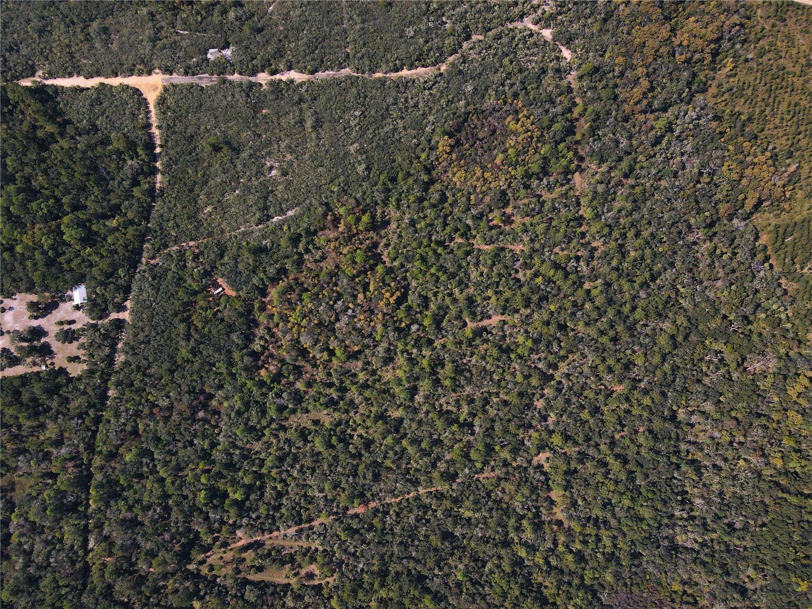 Tbd Quail Rd Property Photo 23