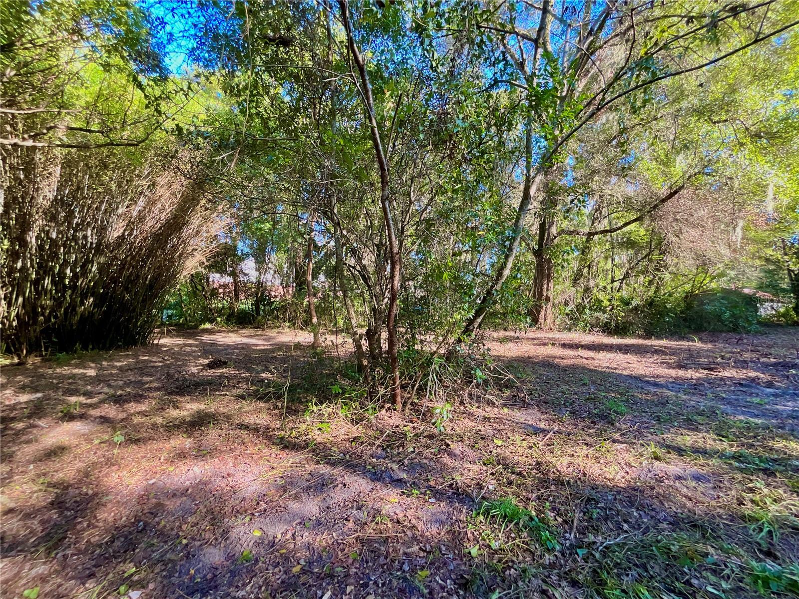Trout St Property Photo 18