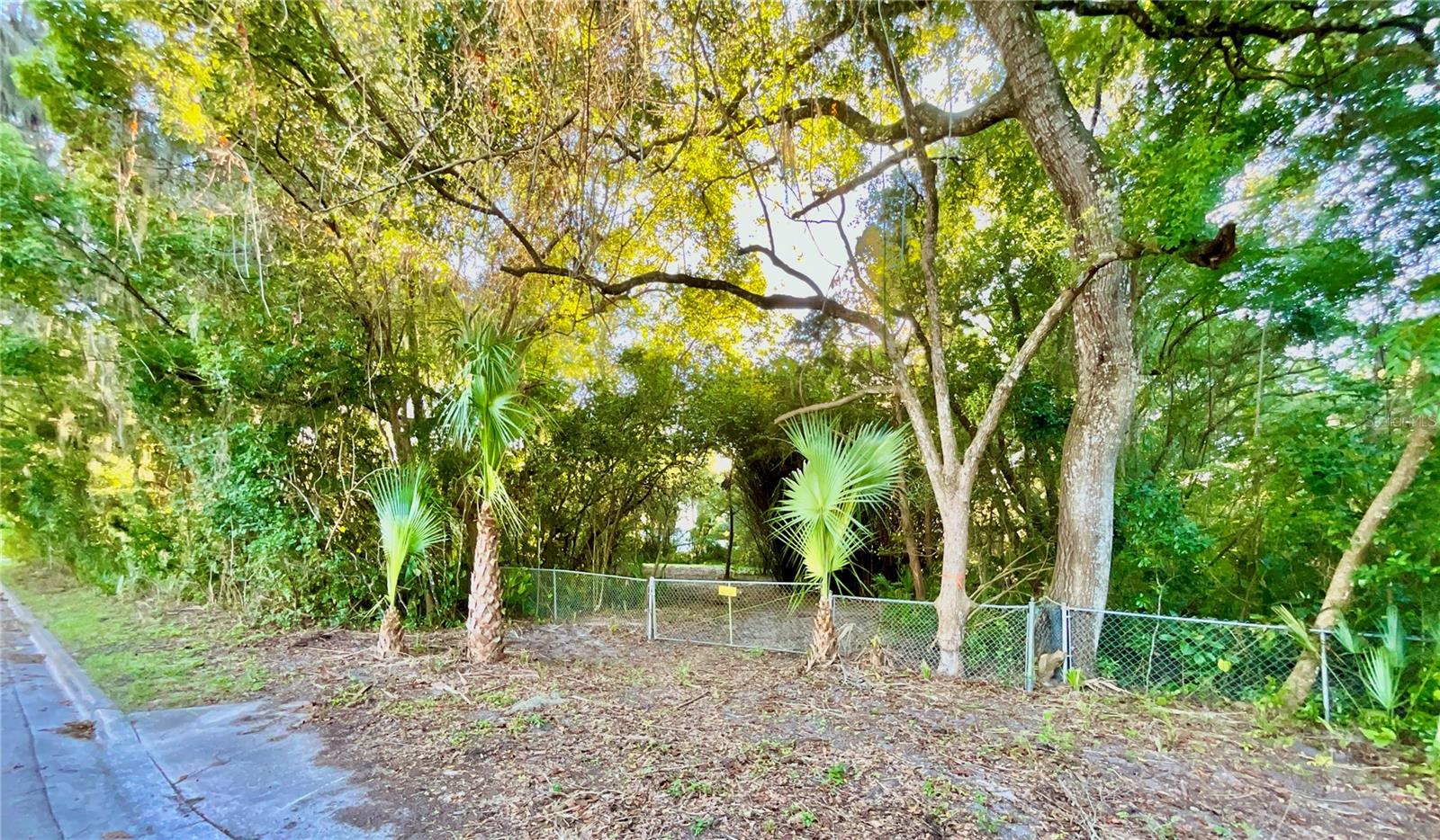 Trout St Property Photo 41