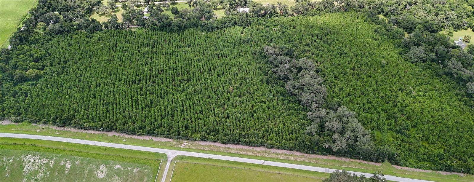 Tbd Sw County Road 346 Property Photo 1