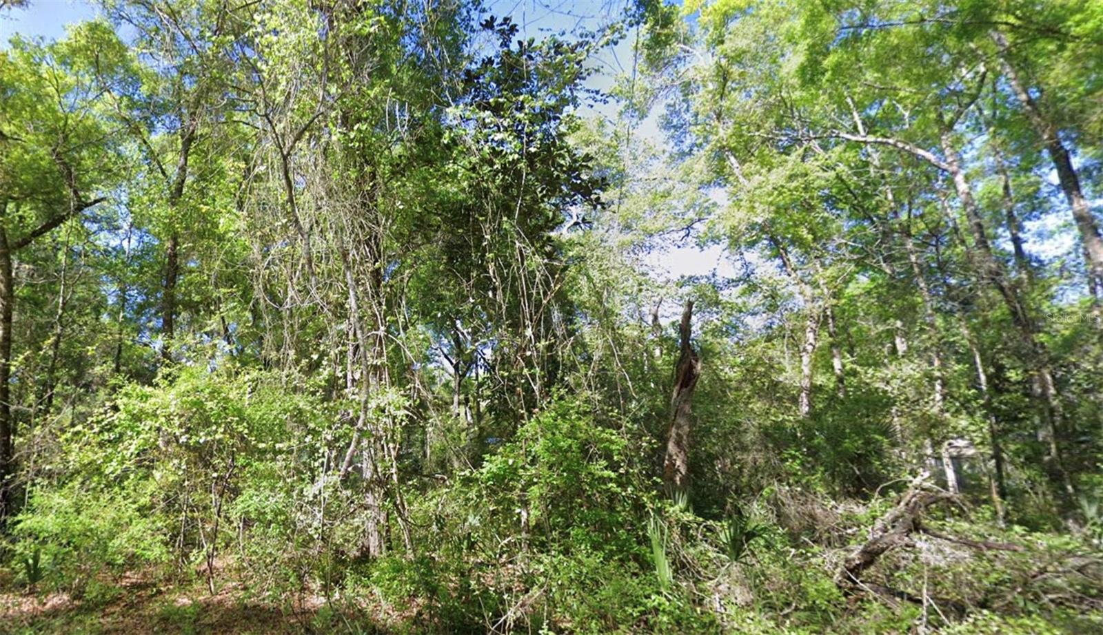 Tbd Se 926th St St Property Photo 1