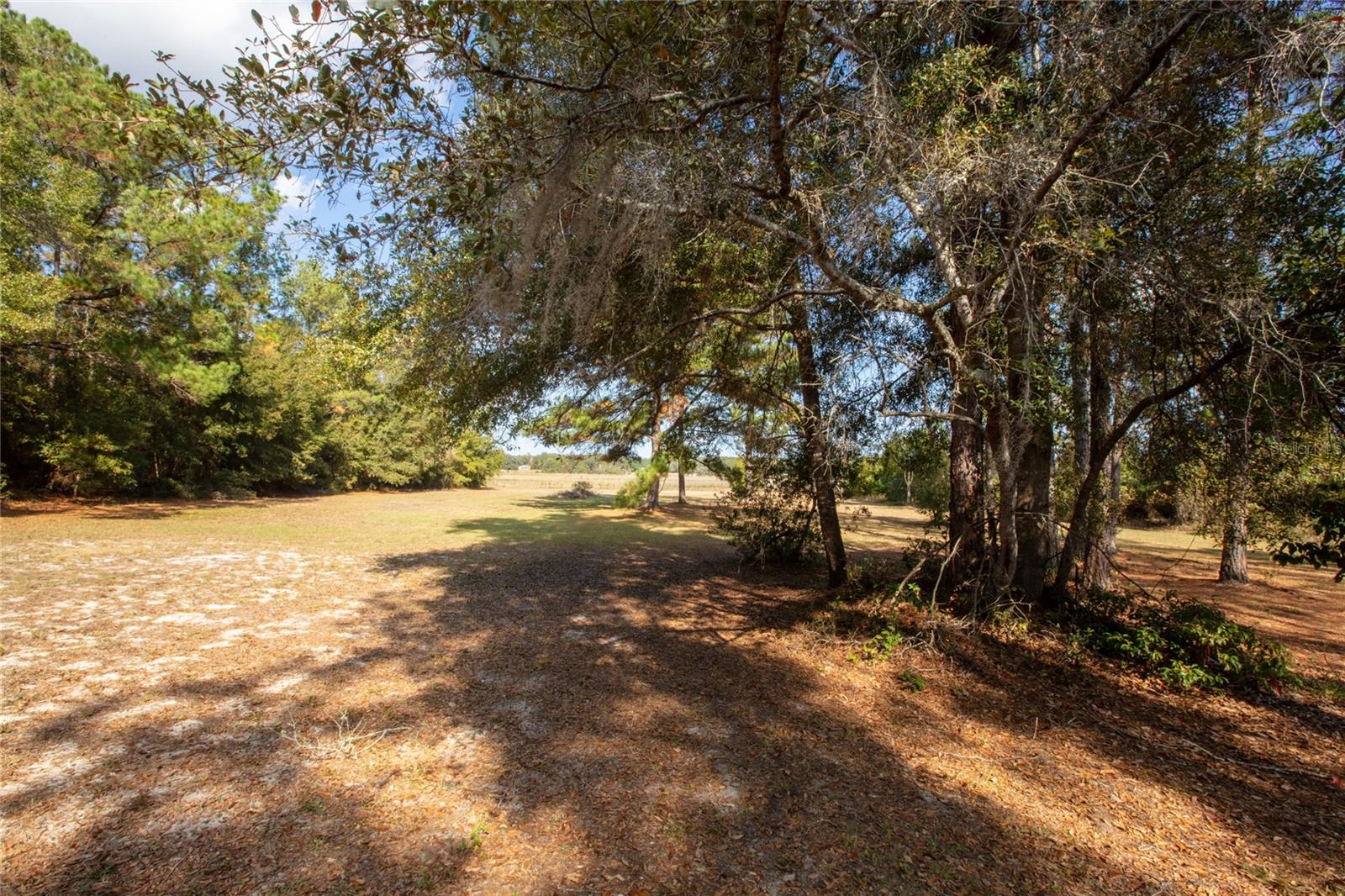 730+732 State Road 26 Property Photo 19
