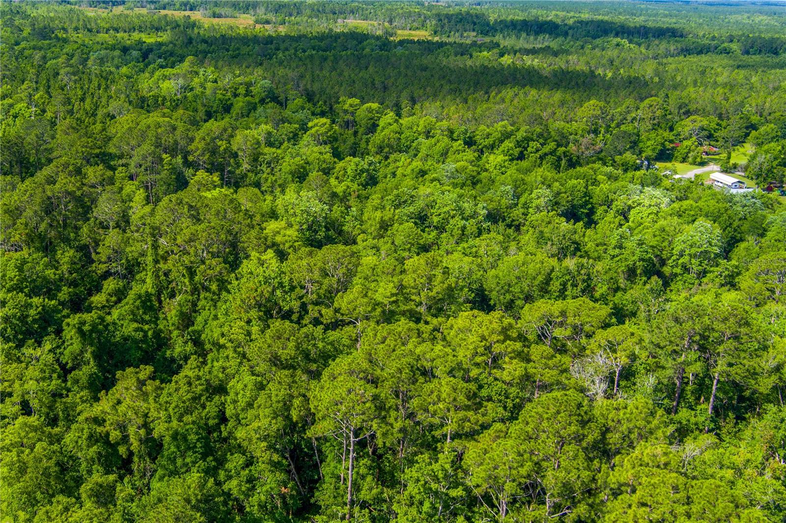 3201 E Raulerson Rd Property Photo 3