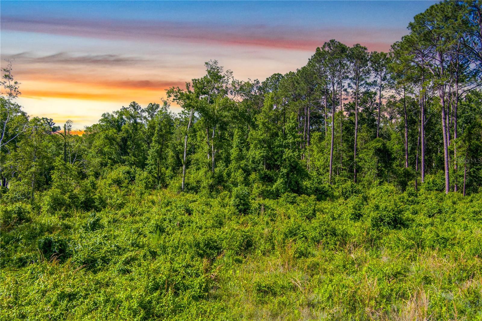 3201 E Raulerson Rd Property Photo 6