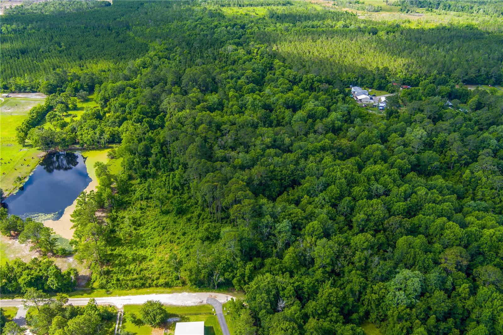 3201 E Raulerson Rd Property Photo 10