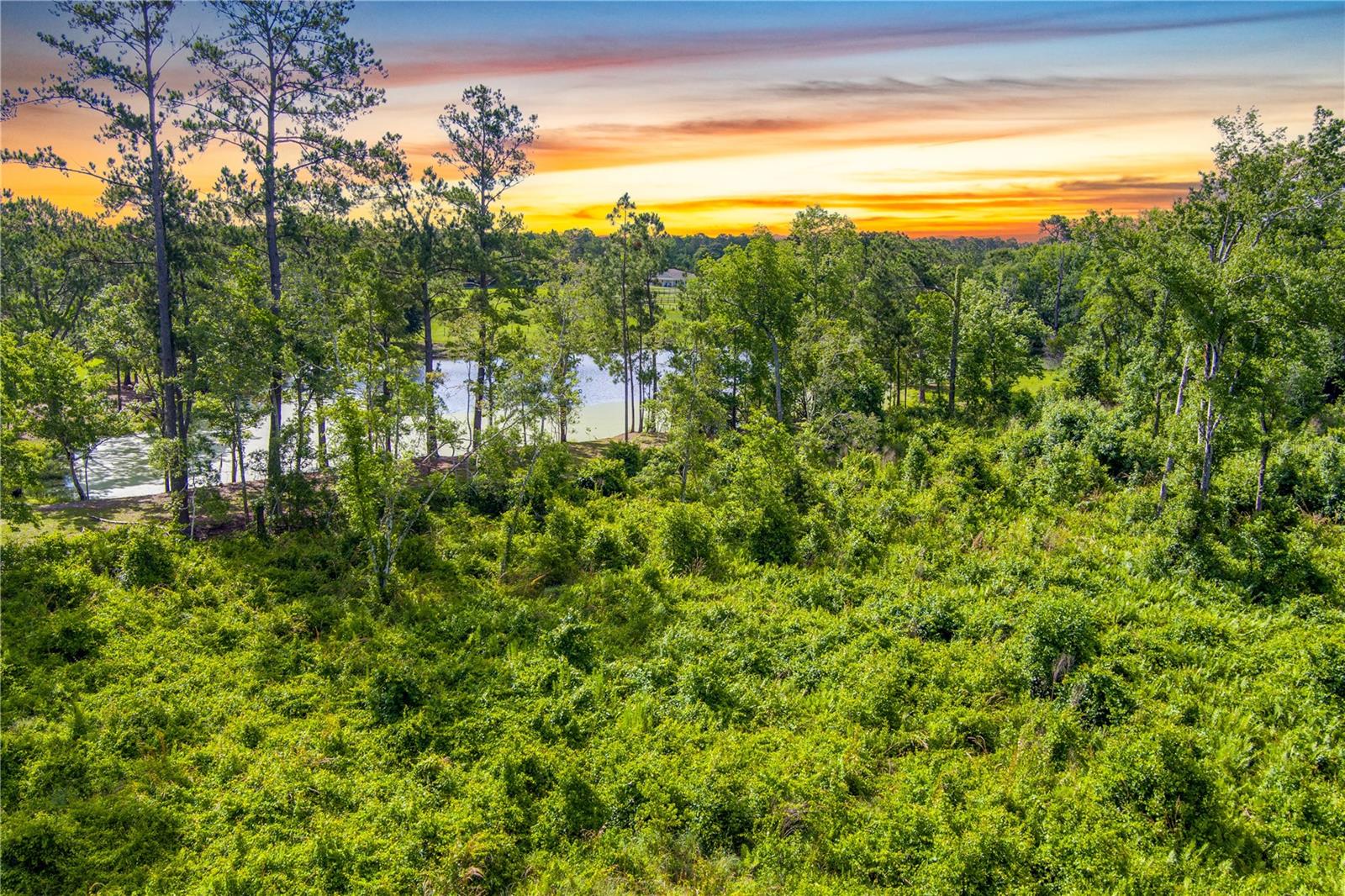 3201 E Raulerson Rd Property Photo 14