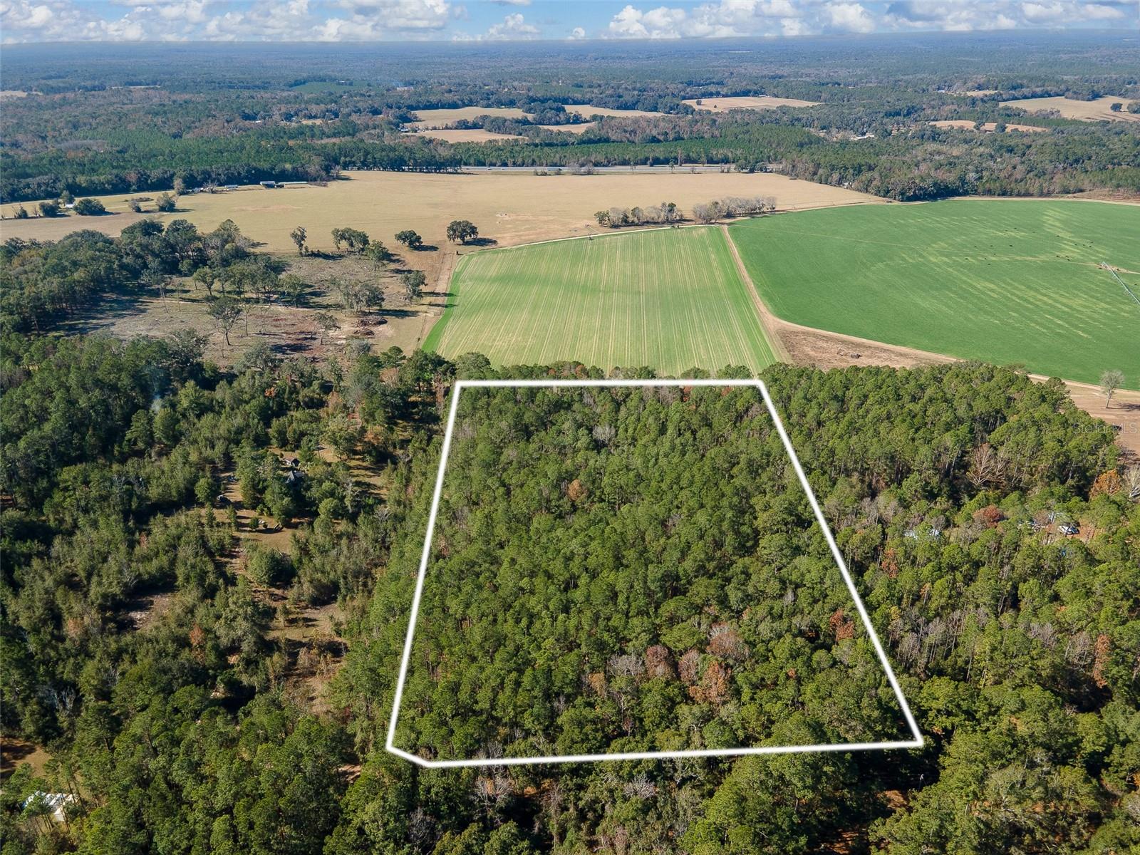 Tbd N County Rd 1491 Property Photo 3