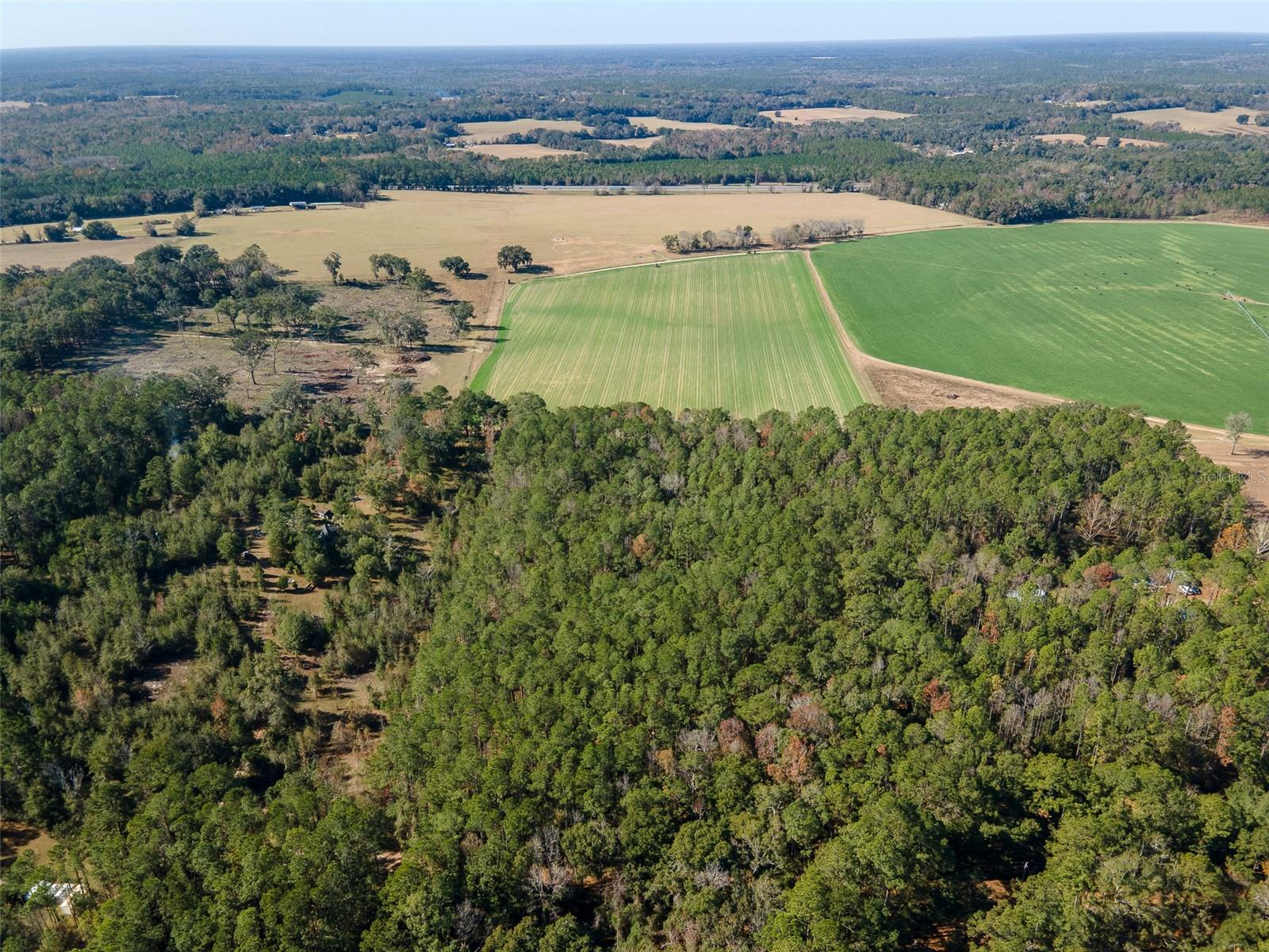 Tbd N County Rd 1491 Property Photo 4