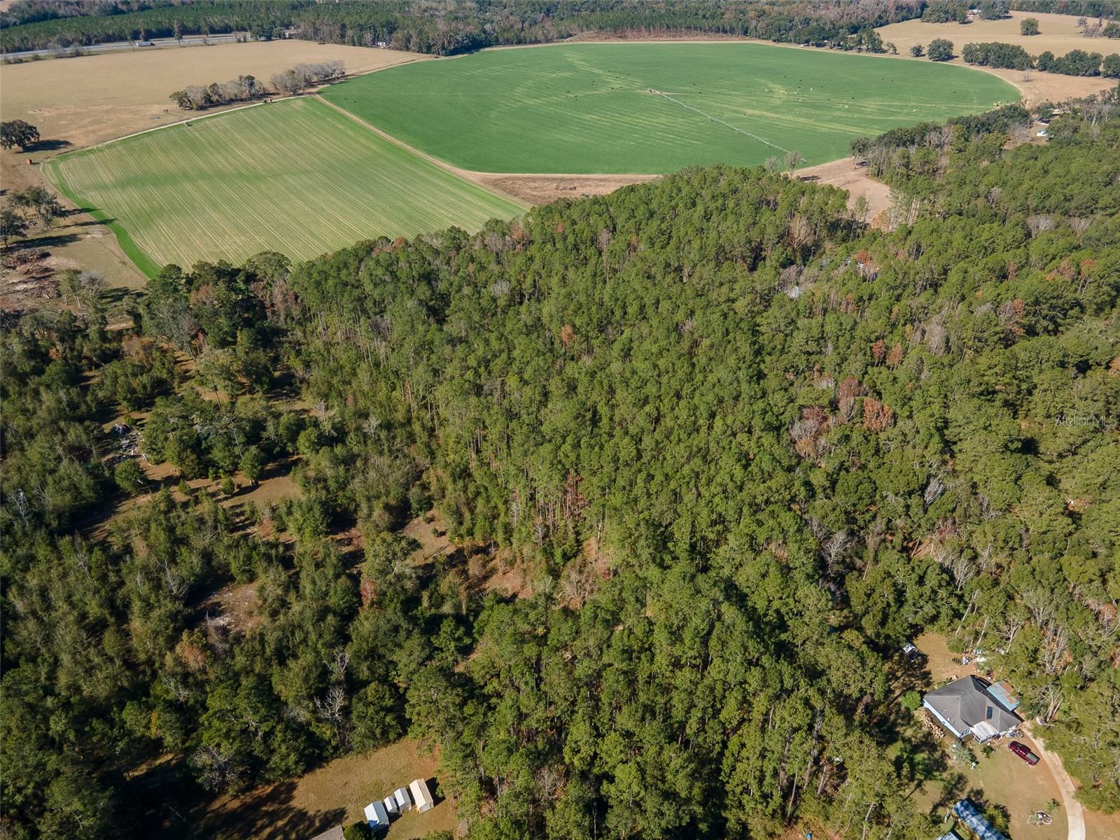 Tbd N County Rd 1491 Property Photo 6