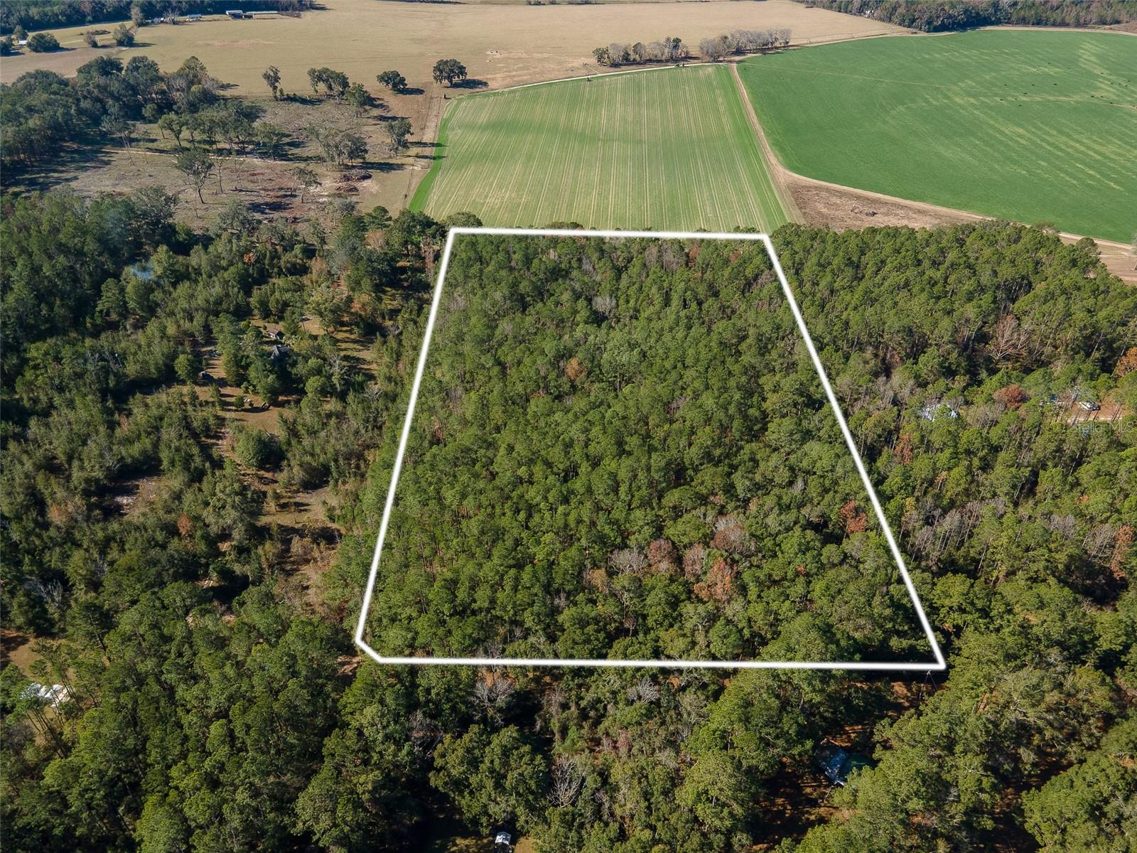 Tbd N County Rd 1491 Property Photo 7