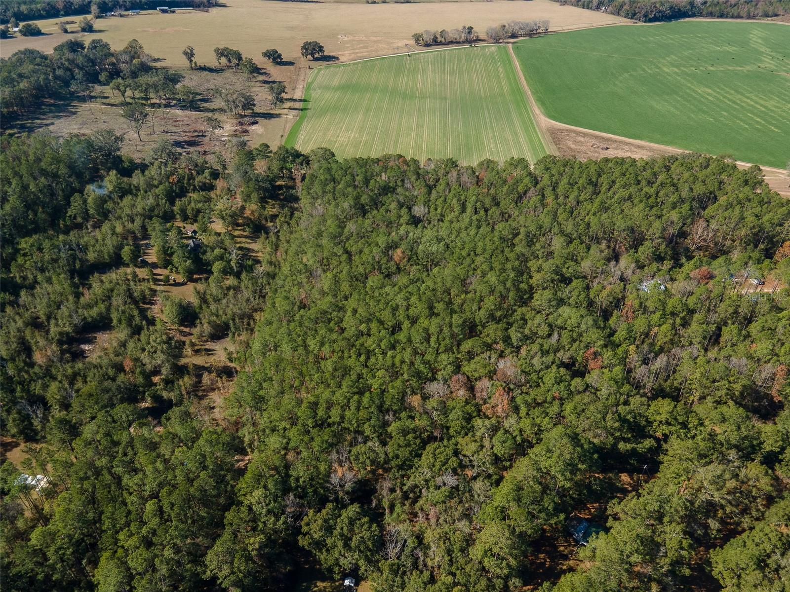 Tbd N County Rd 1491 Property Photo 8