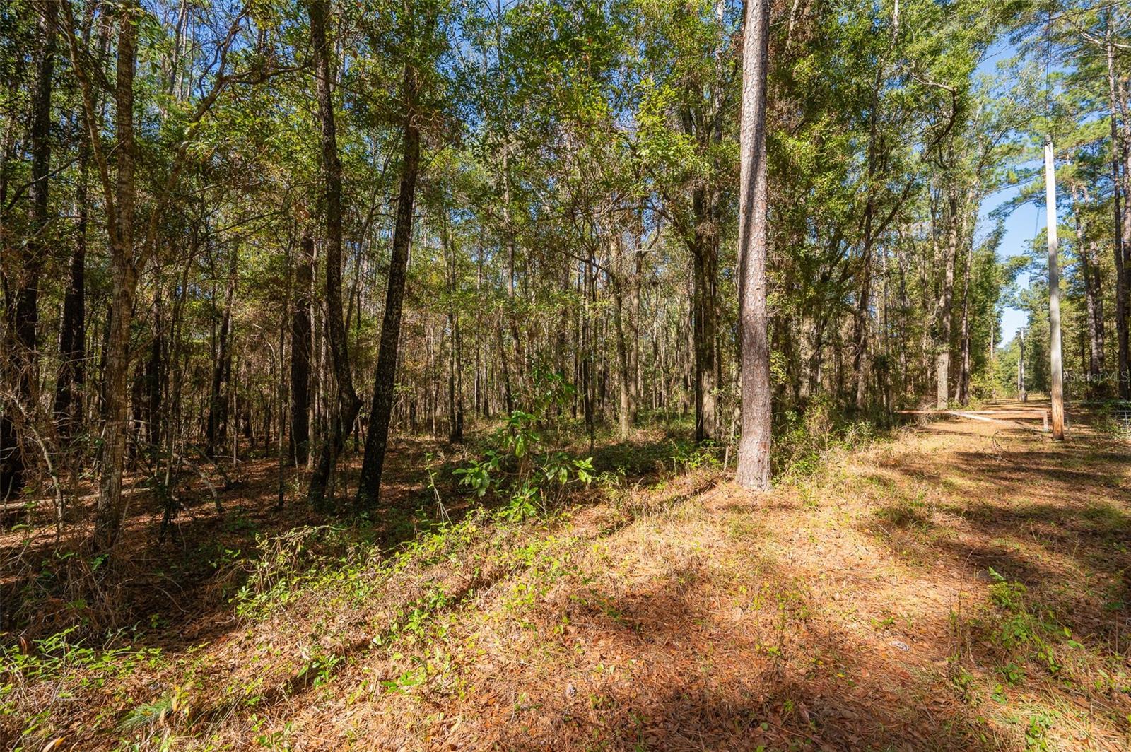 Tbd N County Rd 1491 Property Photo 9