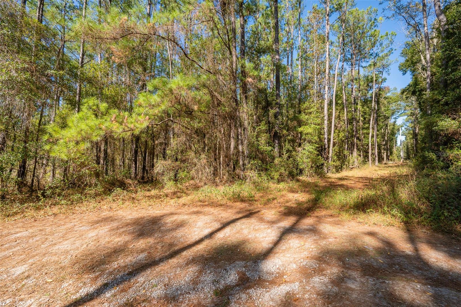 Tbd N County Rd 1491 Property Photo 10