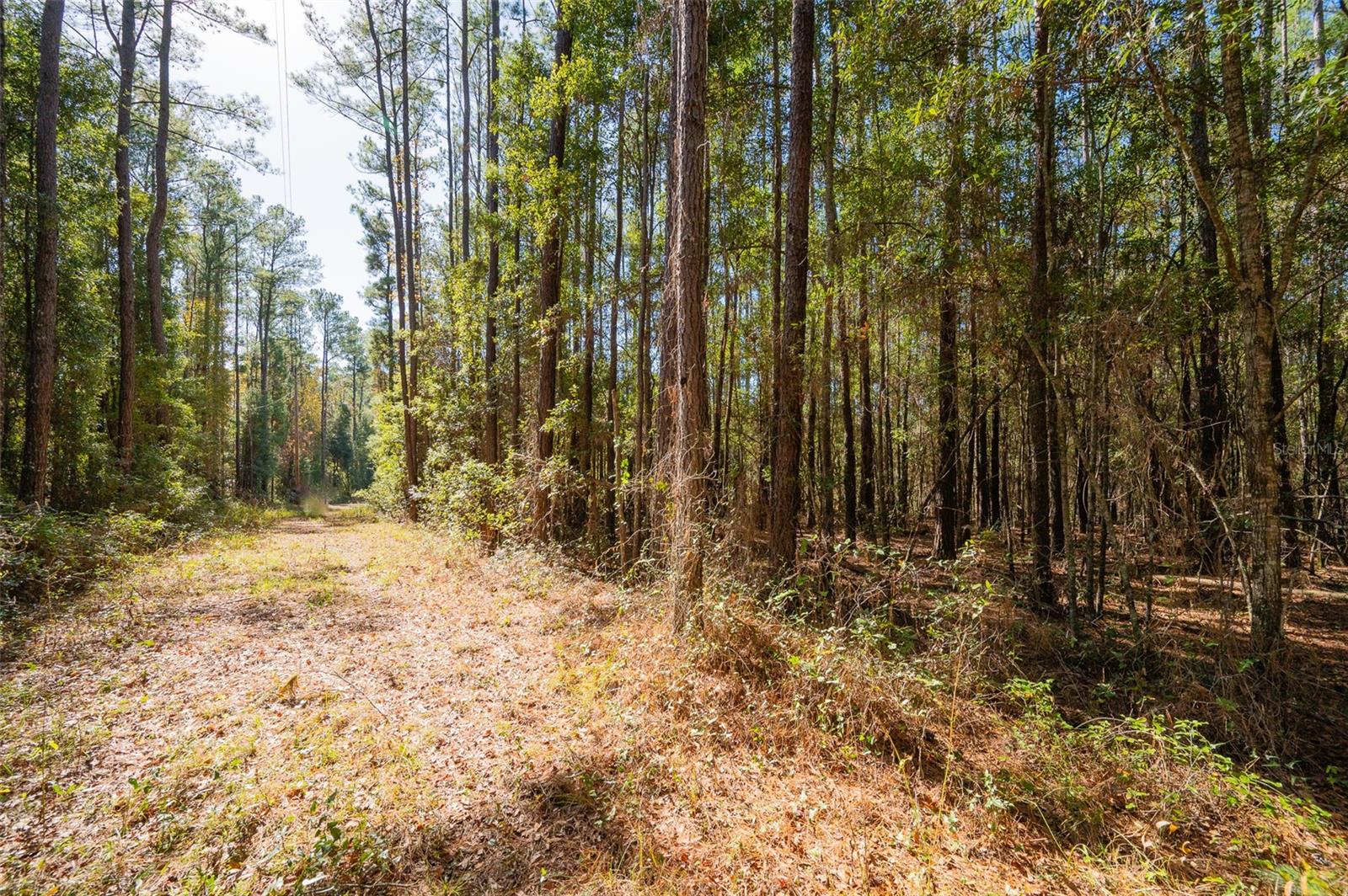 Tbd N County Rd 1491 Property Photo 12