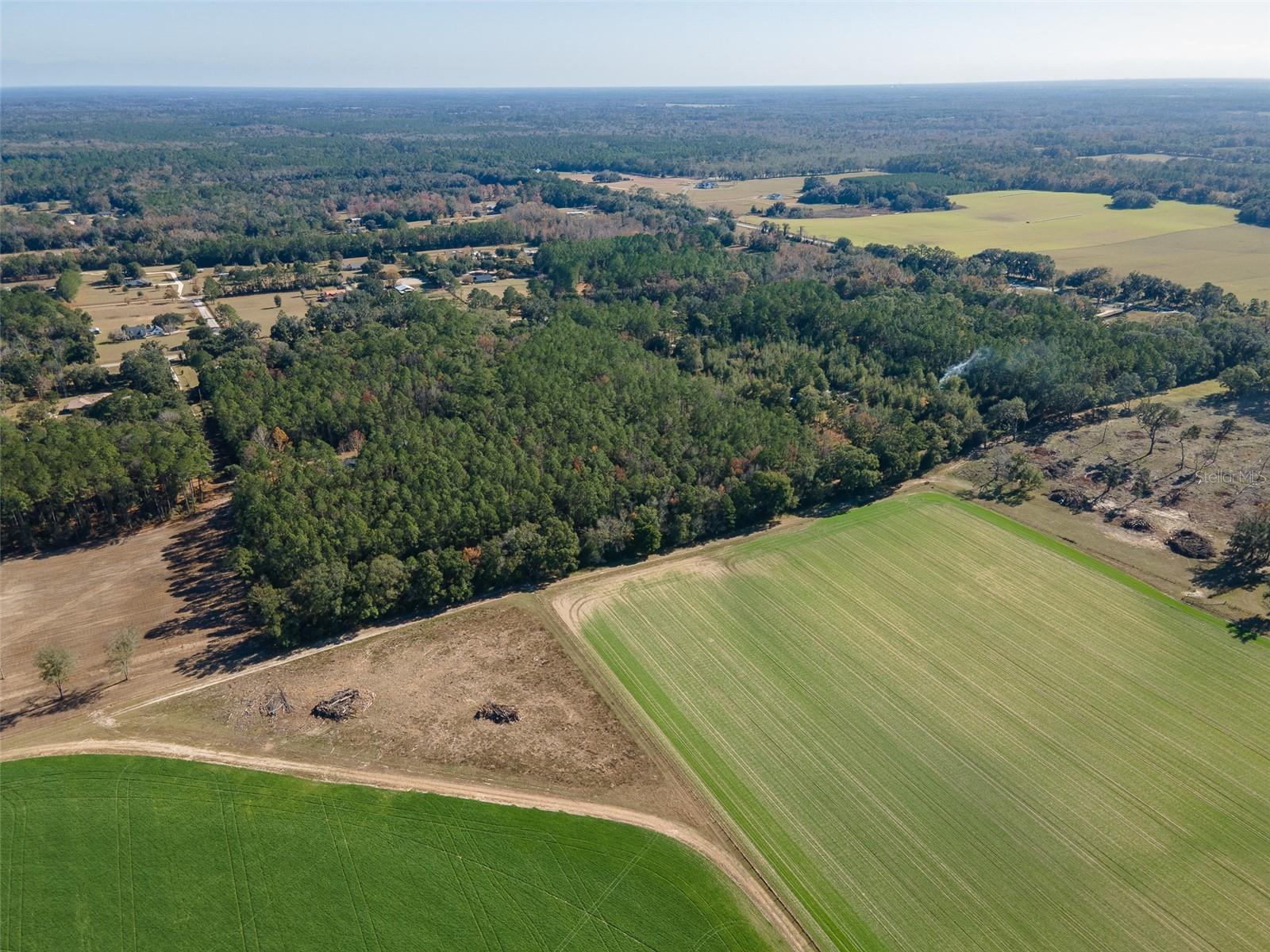 Tbd N County Rd 1491 Property Photo 15