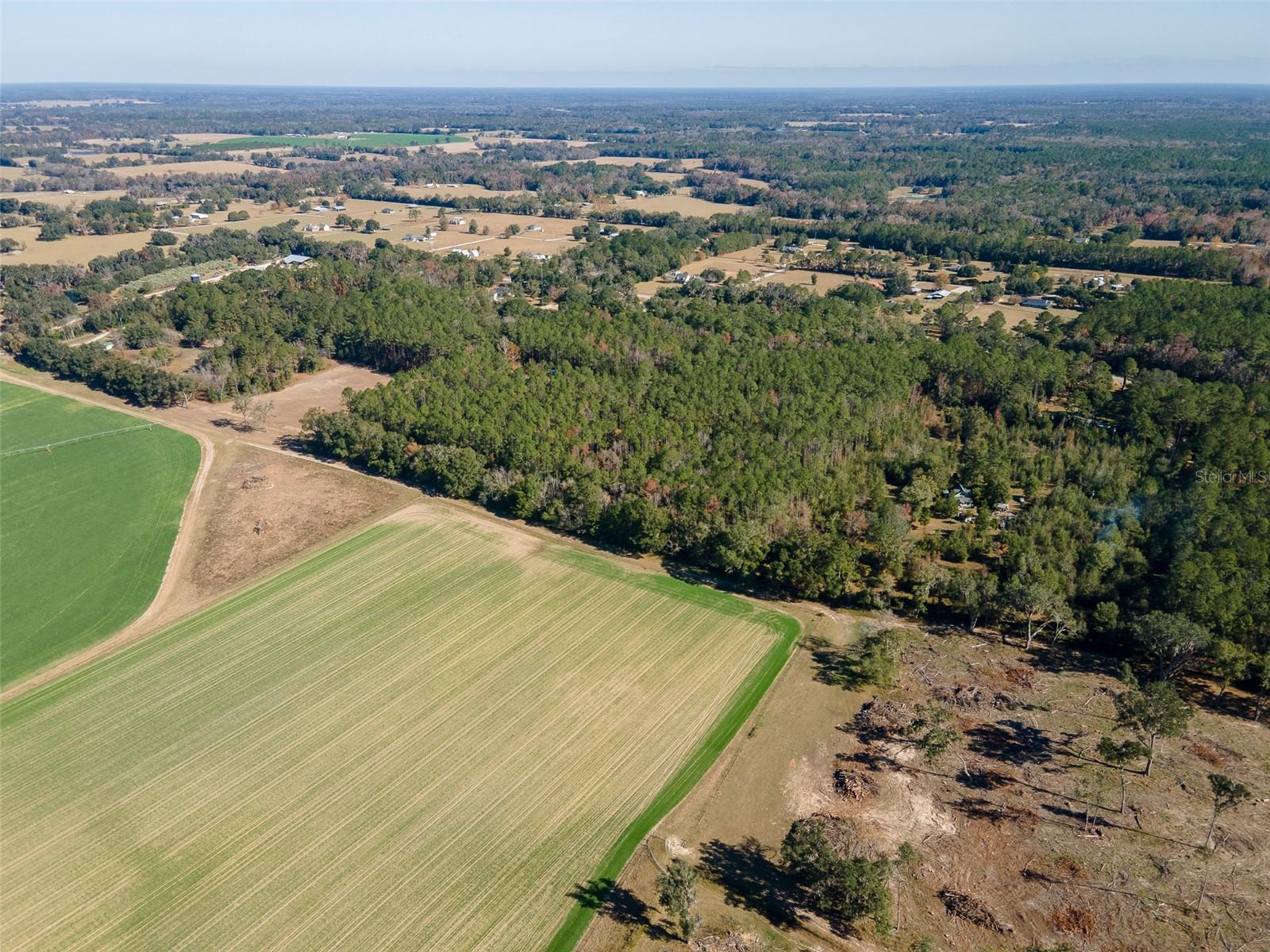 Tbd N County Rd 1491 Property Photo 19