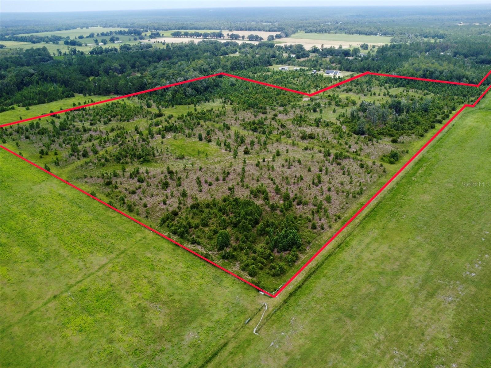 Tbd Cr 235 Property Photo 4