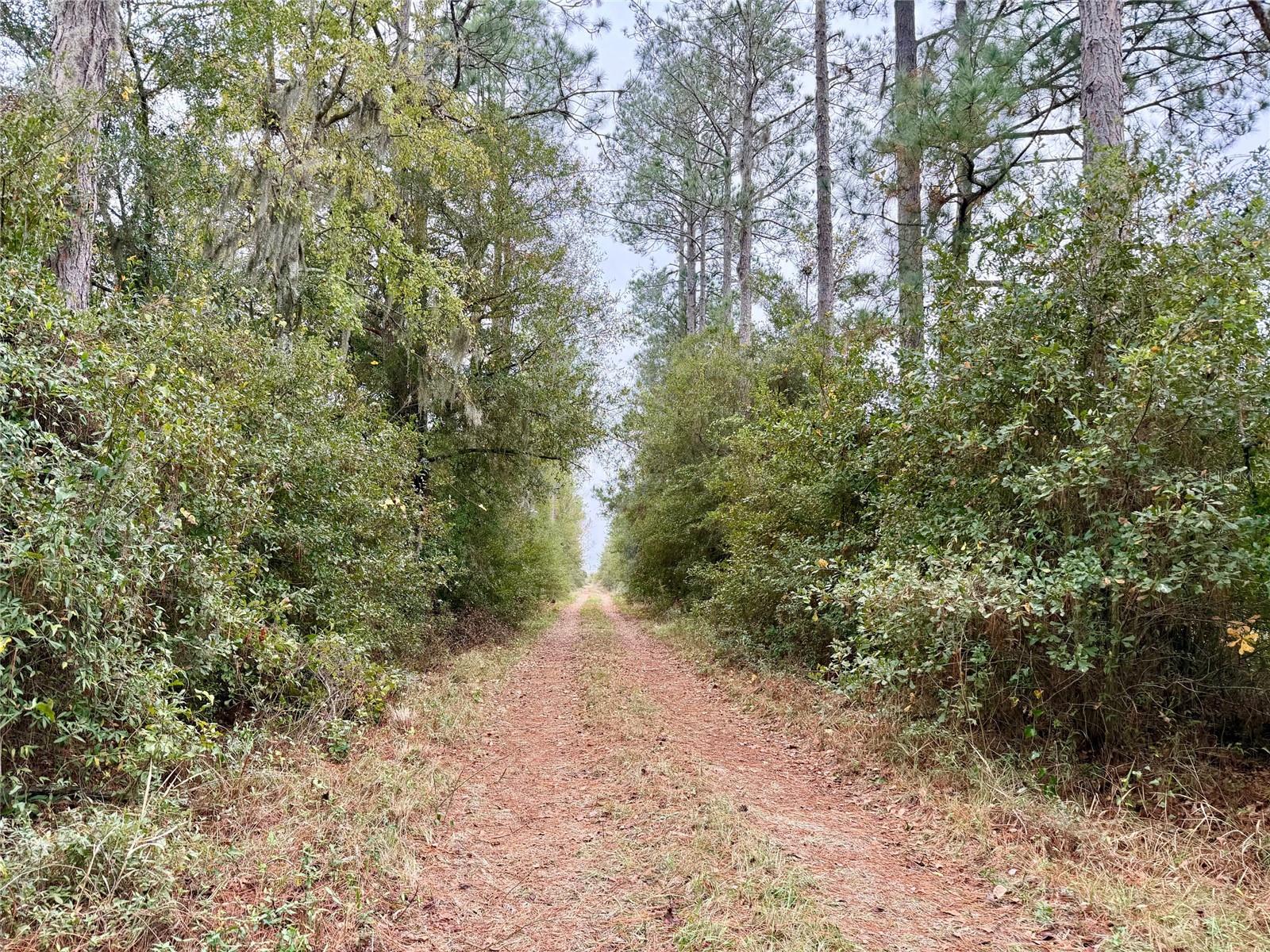 Tbd Cr 235 Property Photo 10