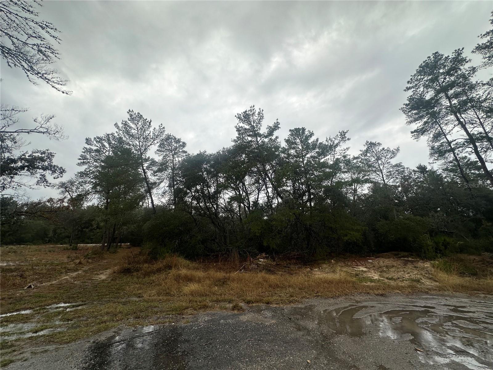 Sw 35 Ter Property Photo 2